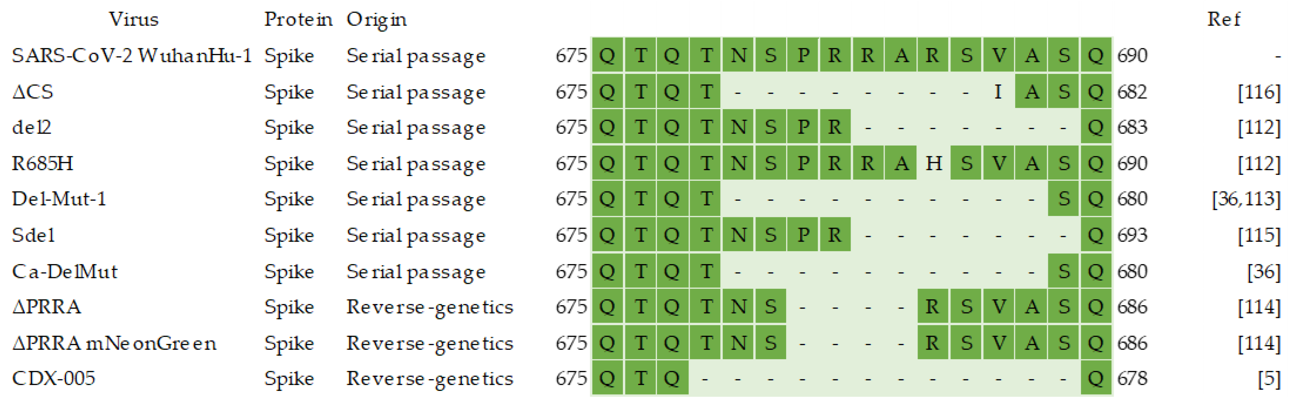 Viruses 14 00991 g004