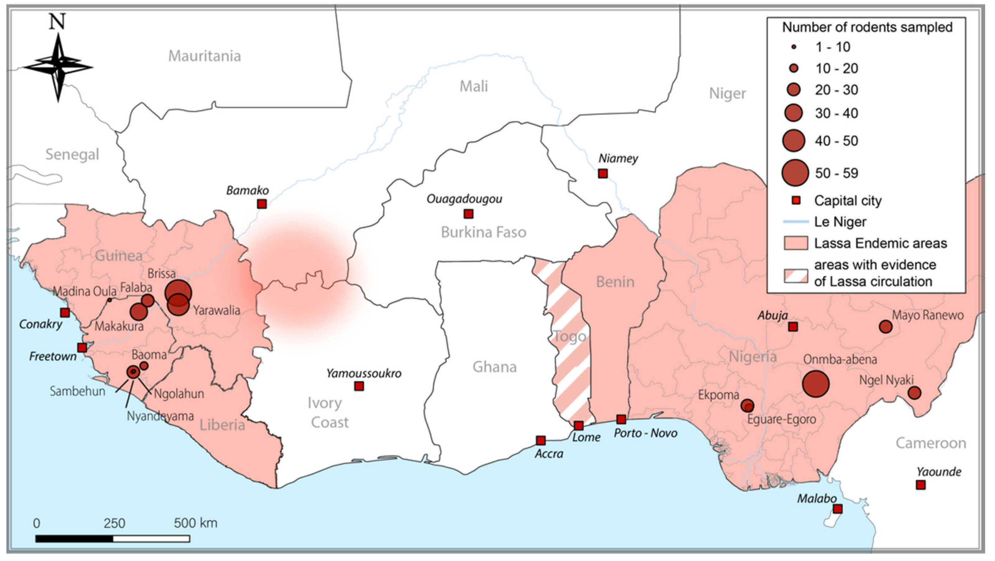 Viruses 14 00993 g001