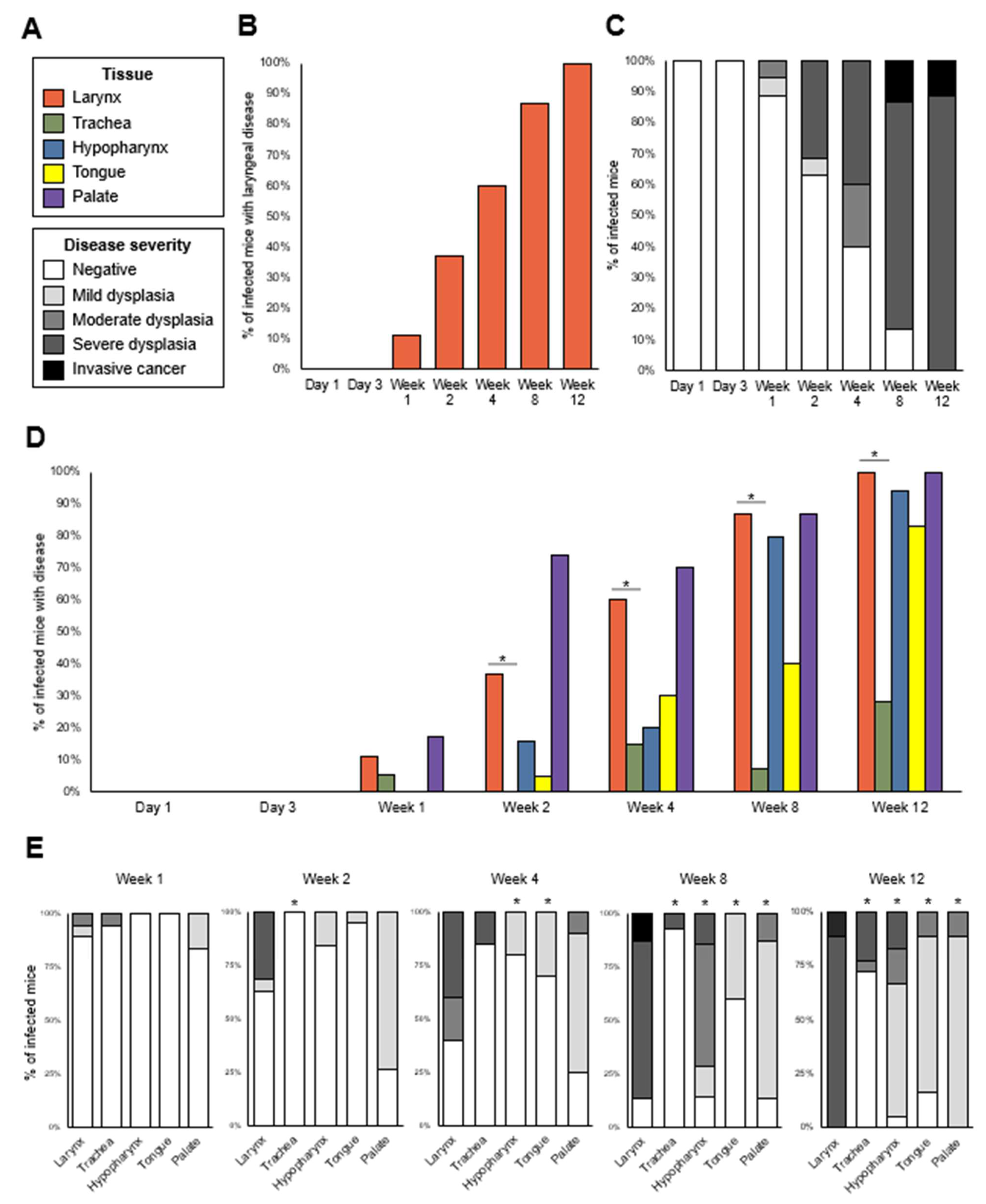 Viruses 14 01000 g004