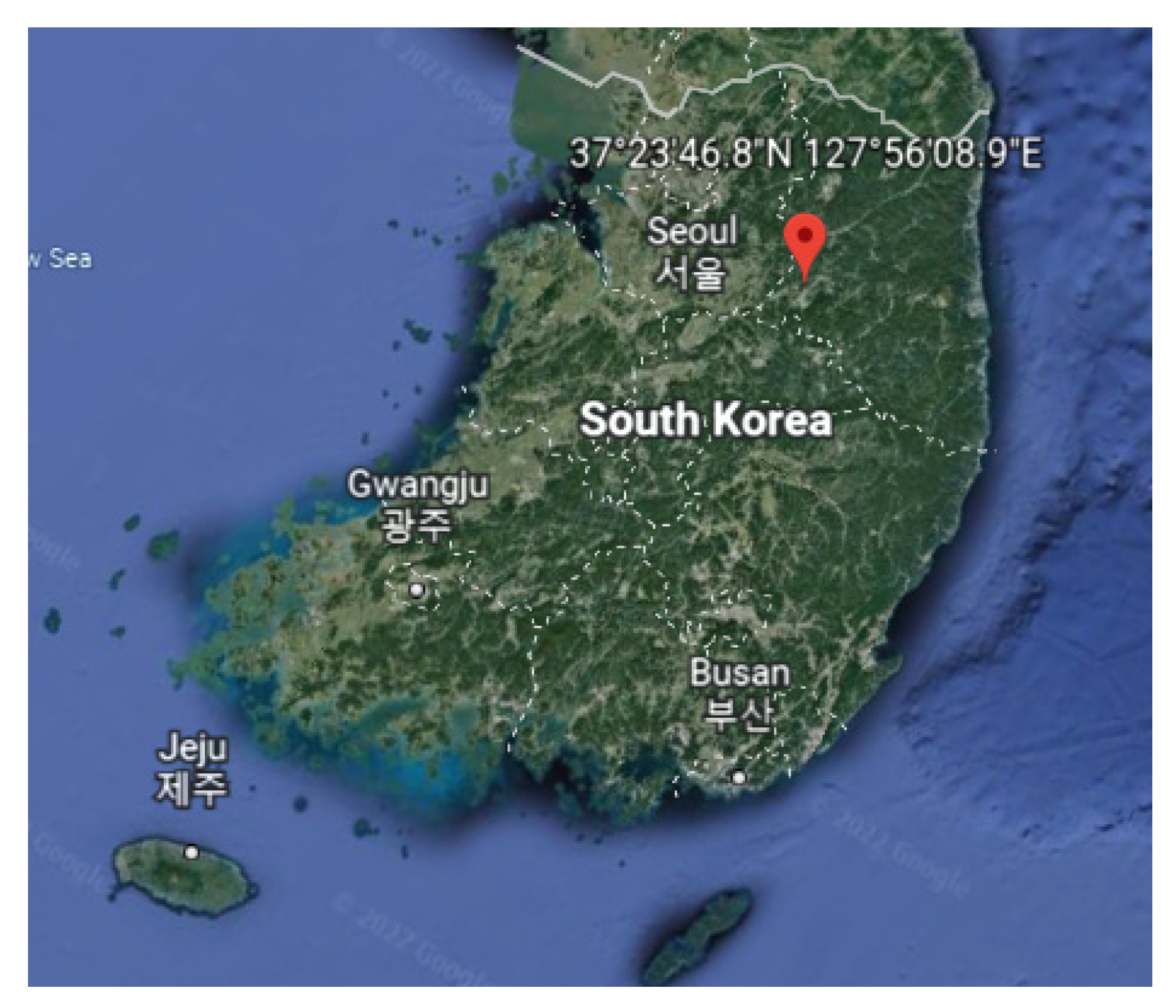 Viruses 14 01001 g001 Viruses 14 01001 g001