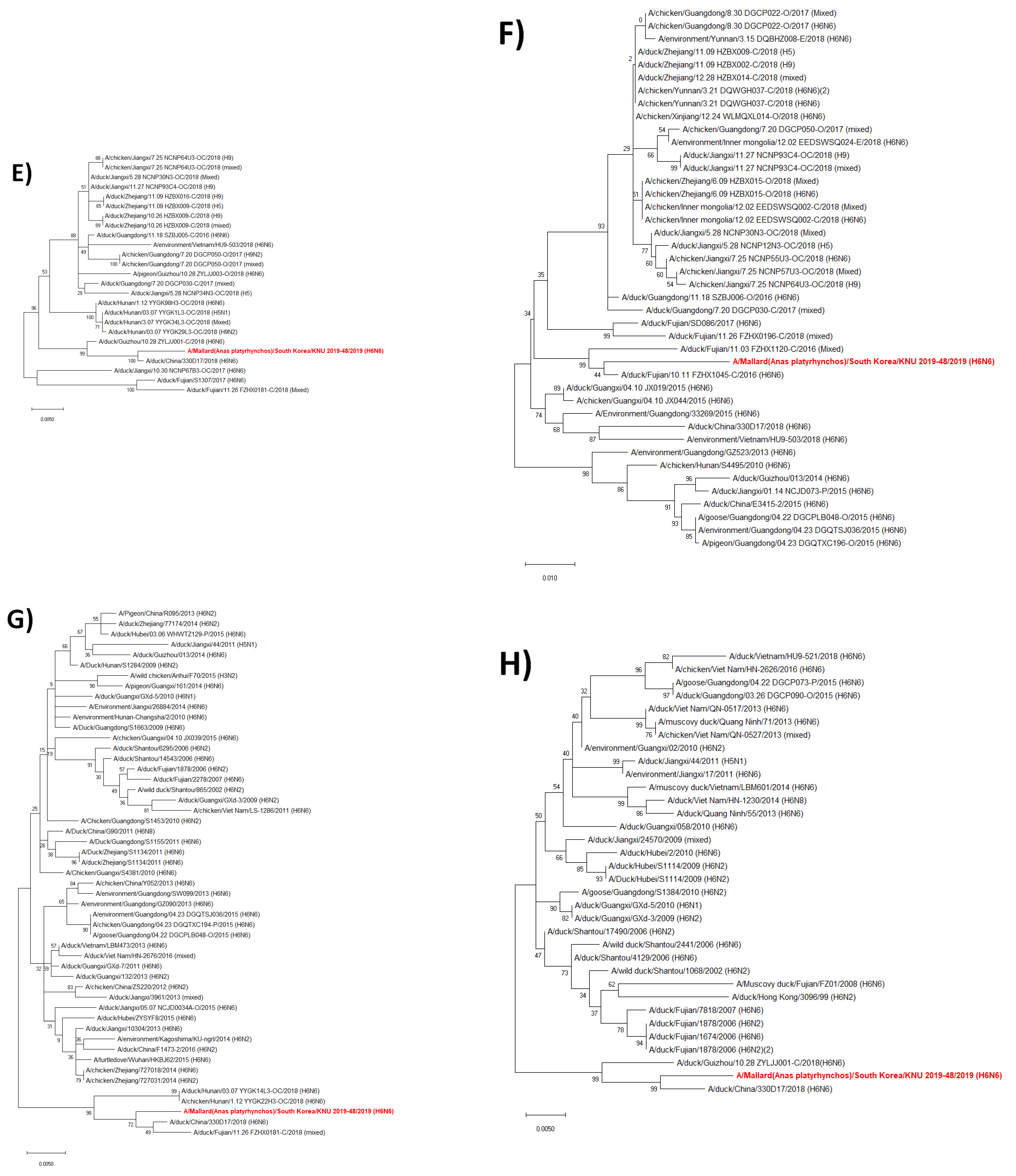 Viruses 14 01001 g002b Viruses 14 01001 g002b