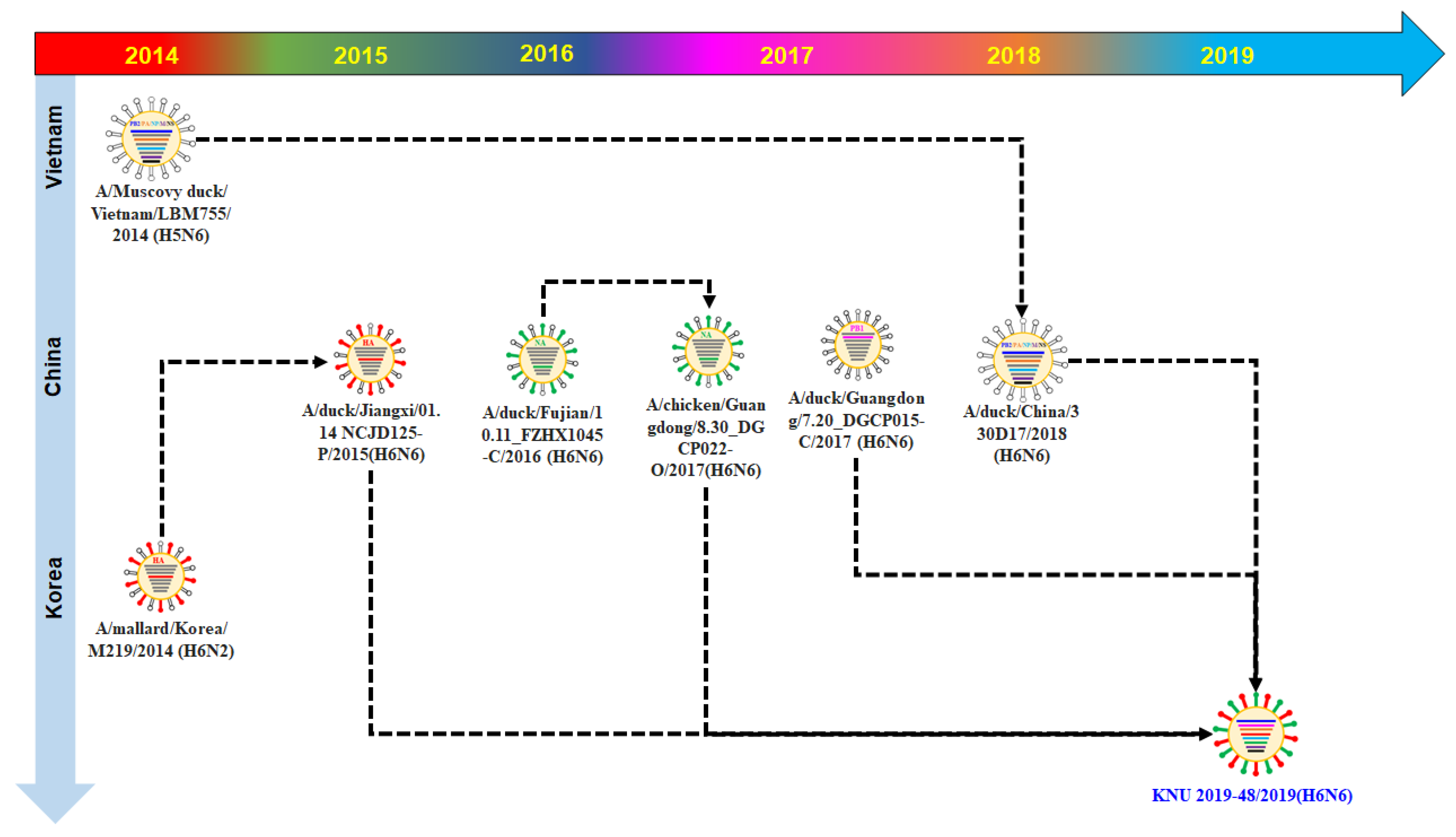 Viruses 14 01001 g004 Viruses 14 01001 g004