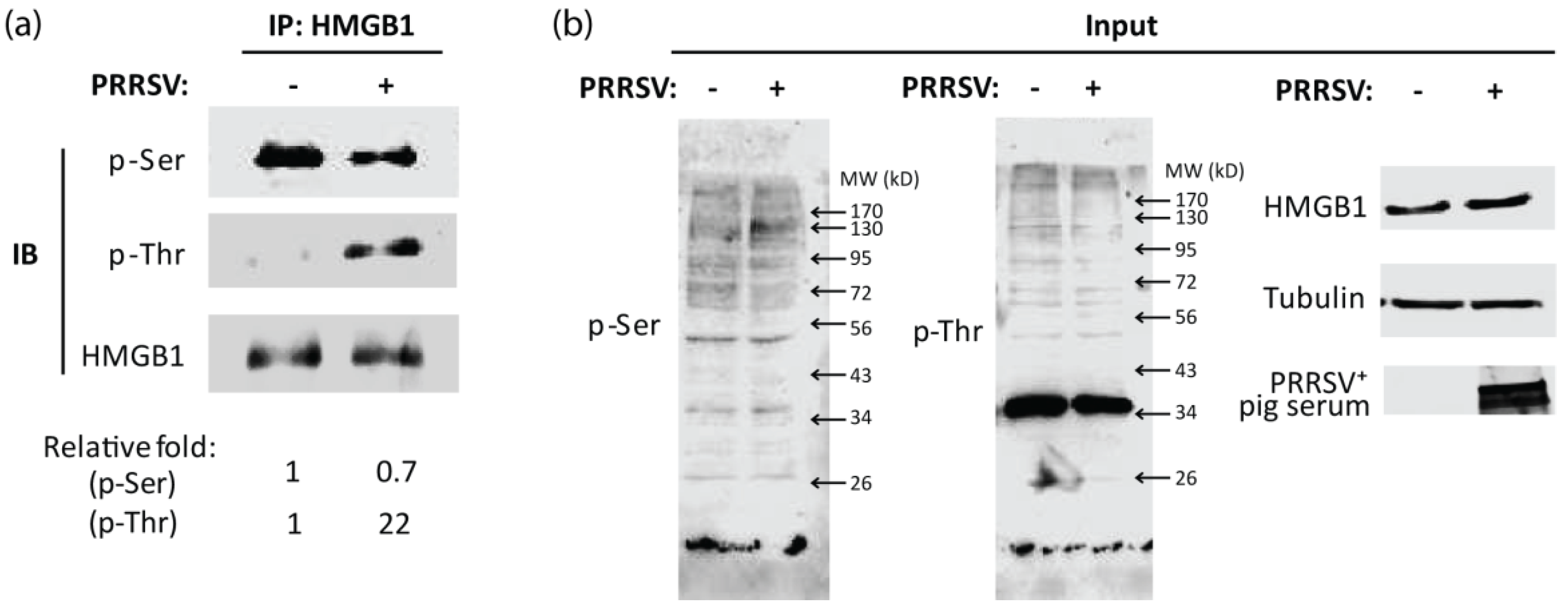 Viruses 14 01002 g001