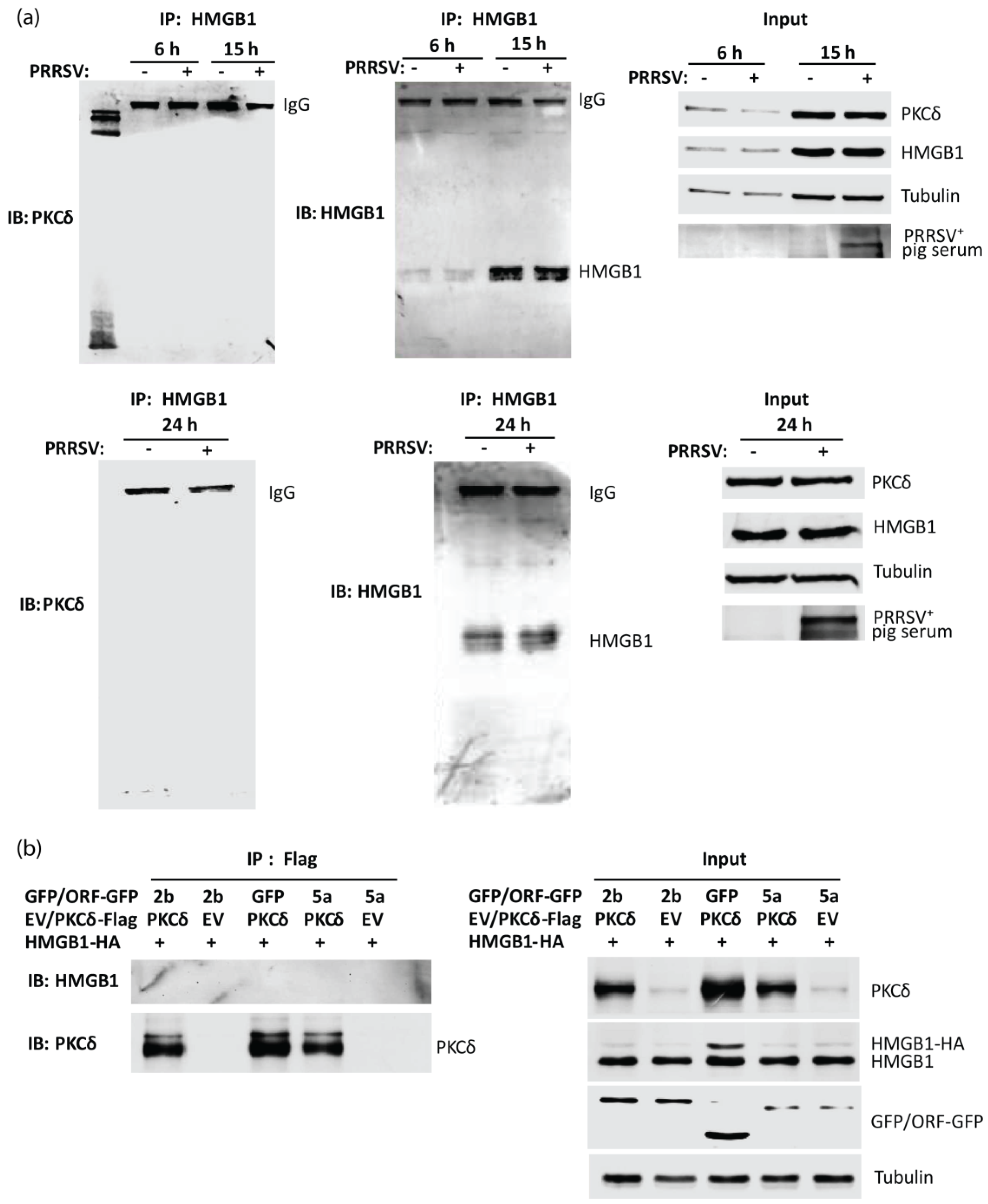 Viruses 14 01002 g003