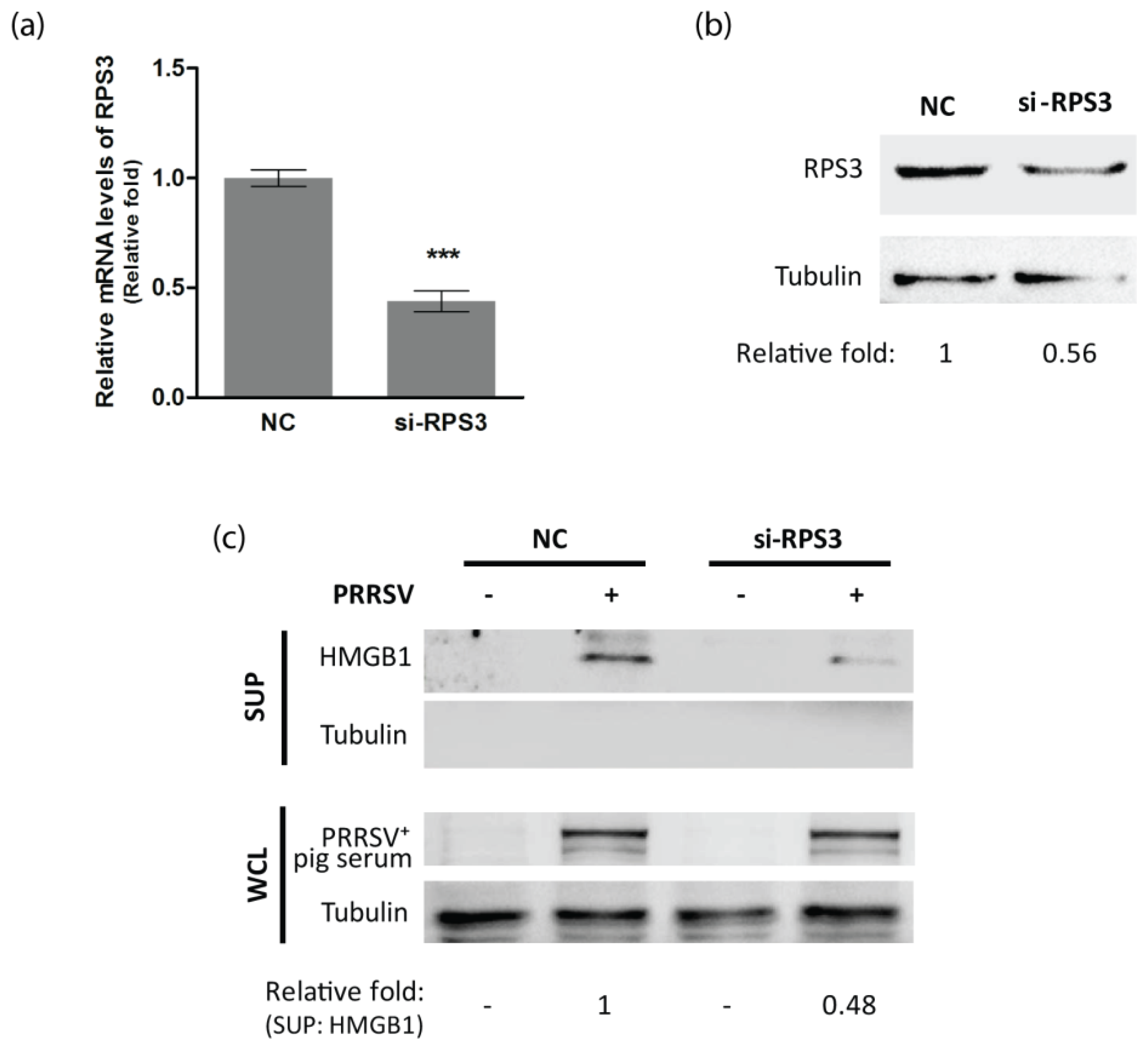 Viruses 14 01002 g005