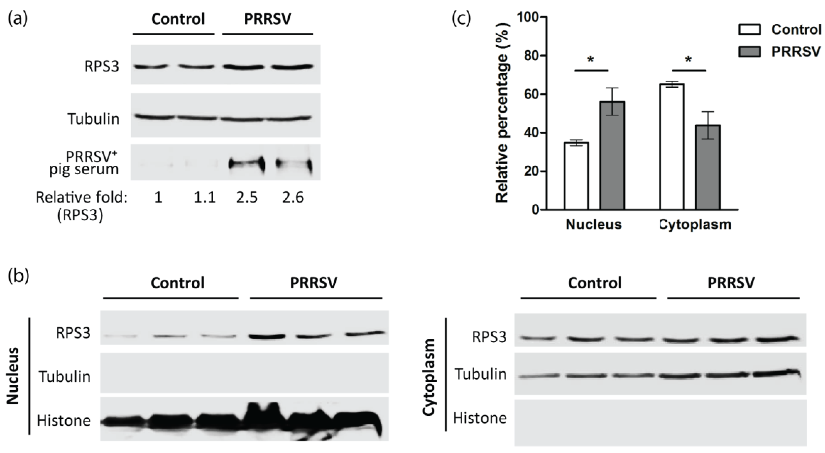 Viruses 14 01002 g007