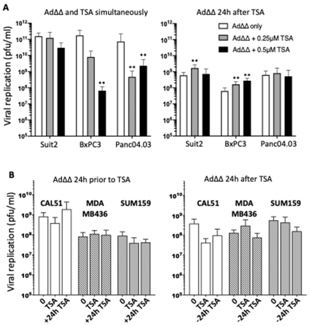 Viruses 14 01006 g002a Viruses 14 01006 g002a