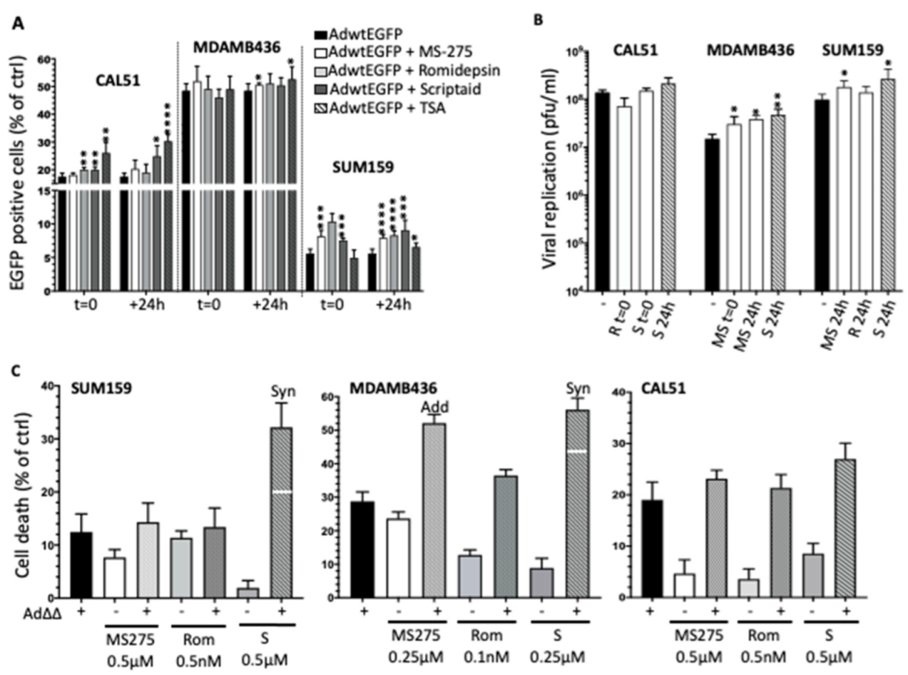 Viruses 14 01006 g003 Viruses 14 01006 g003