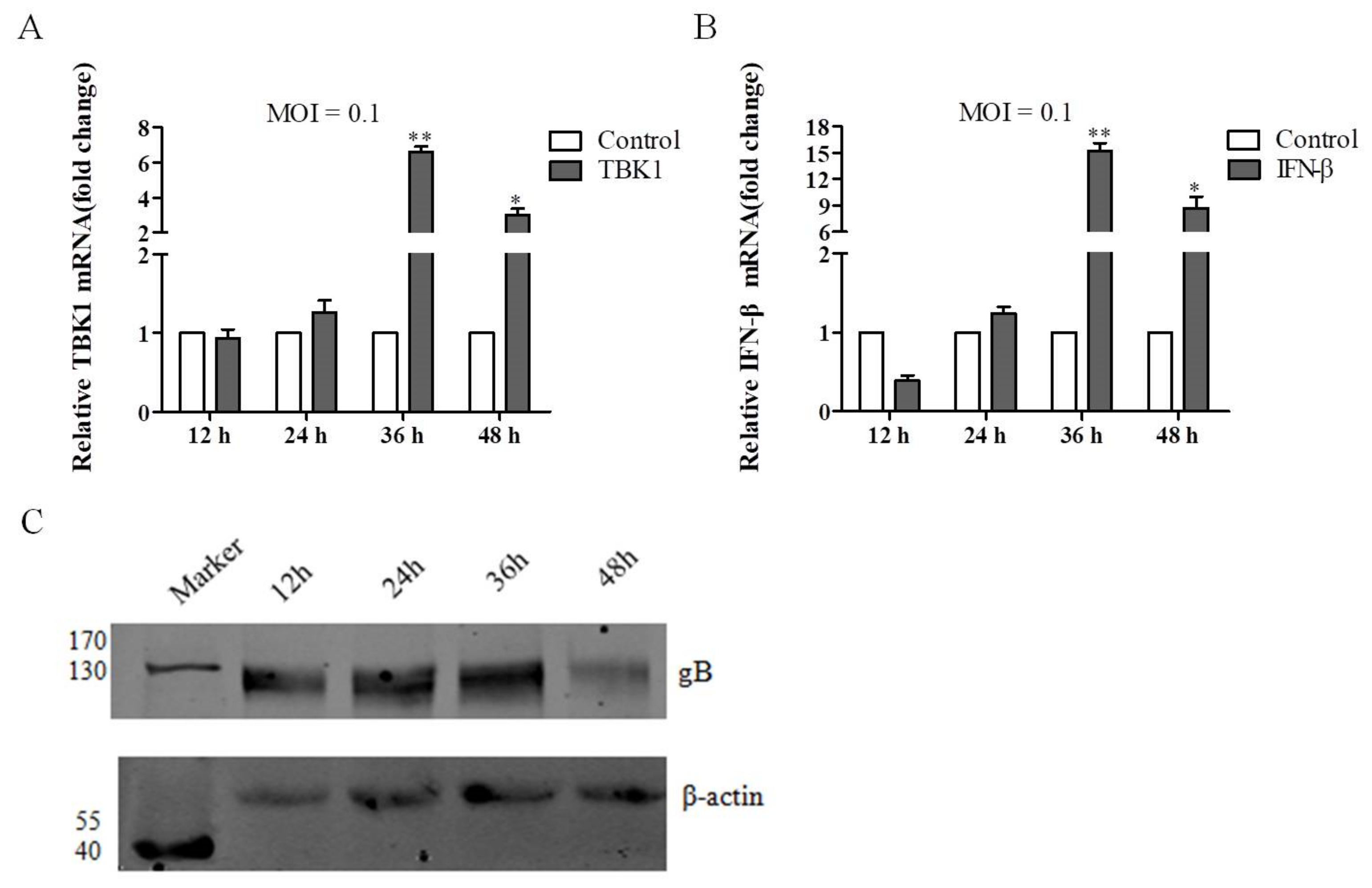 Viruses 14 01008 g001 Viruses 14 01008 g001