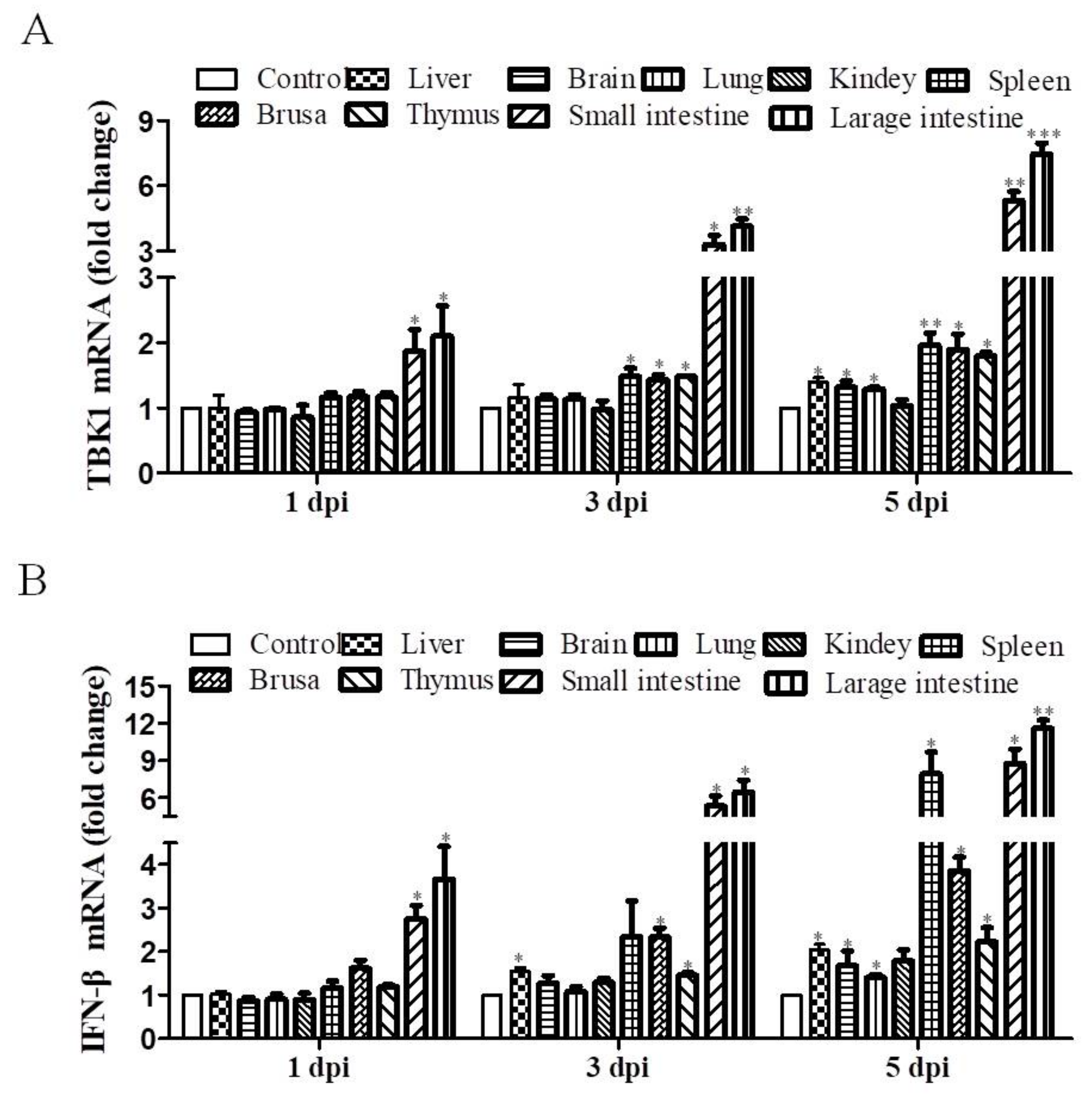 Viruses 14 01008 g002 Viruses 14 01008 g002