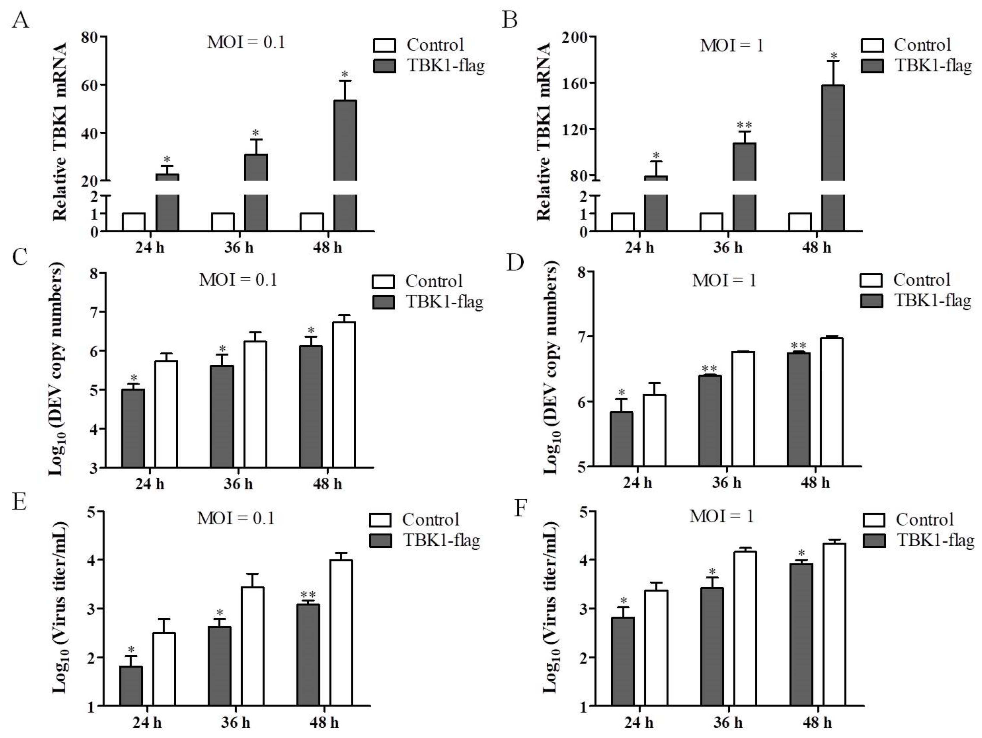 Viruses 14 01008 g003 Viruses 14 01008 g003