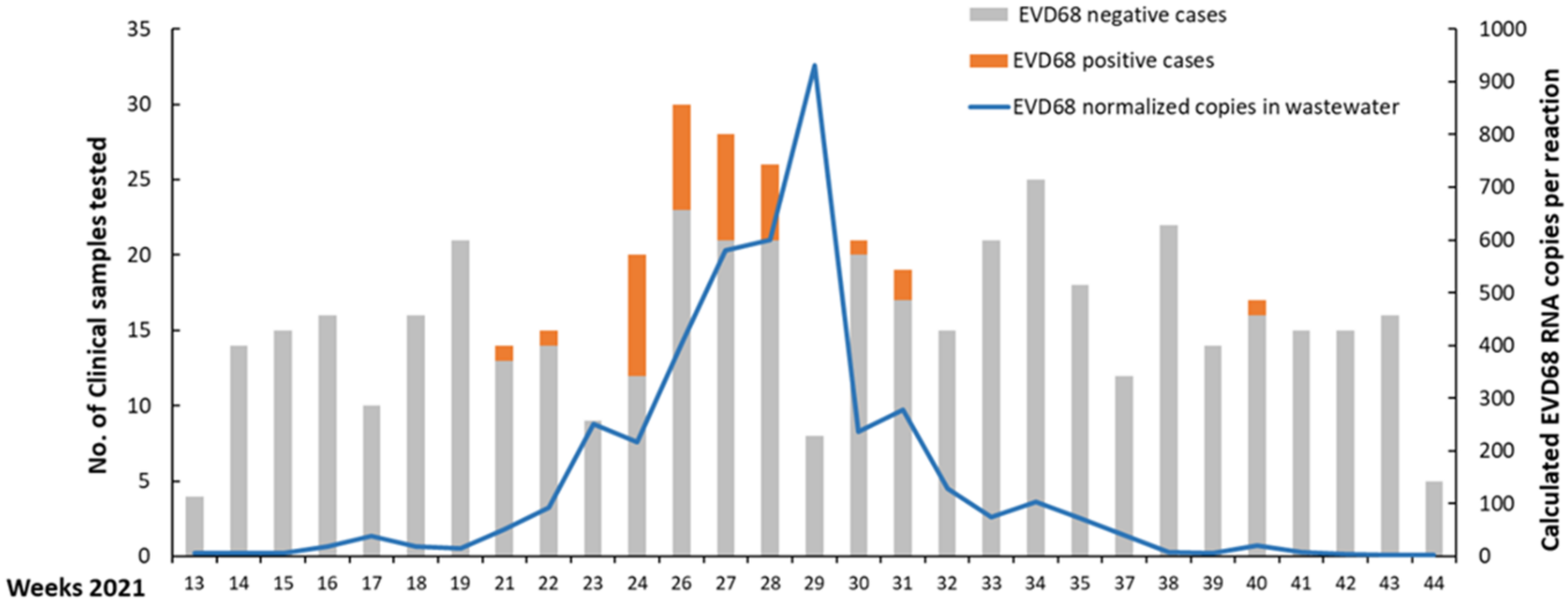 Viruses 14 01010 g001
