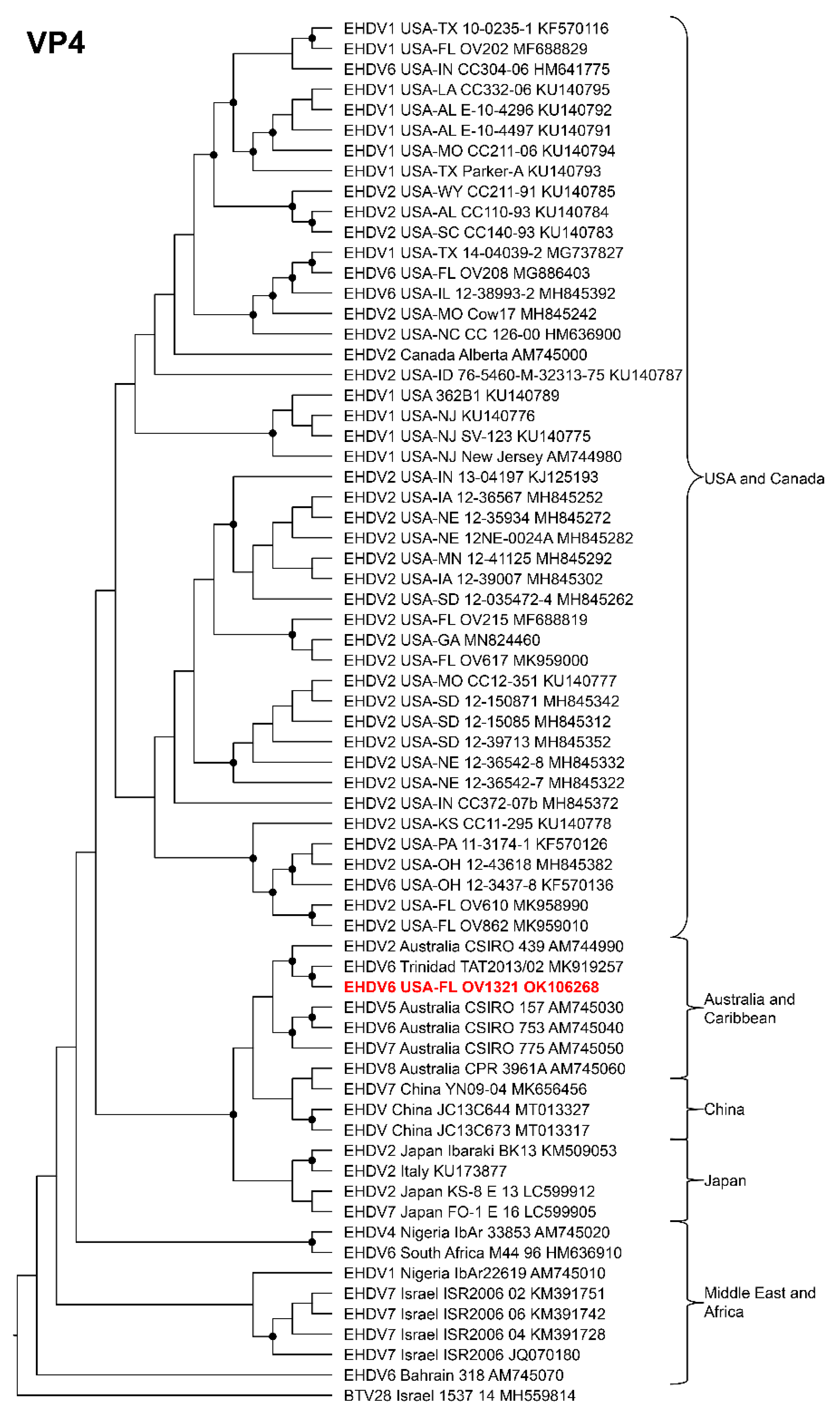 Viruses 14 01012 g005 Viruses 14 01012 g005