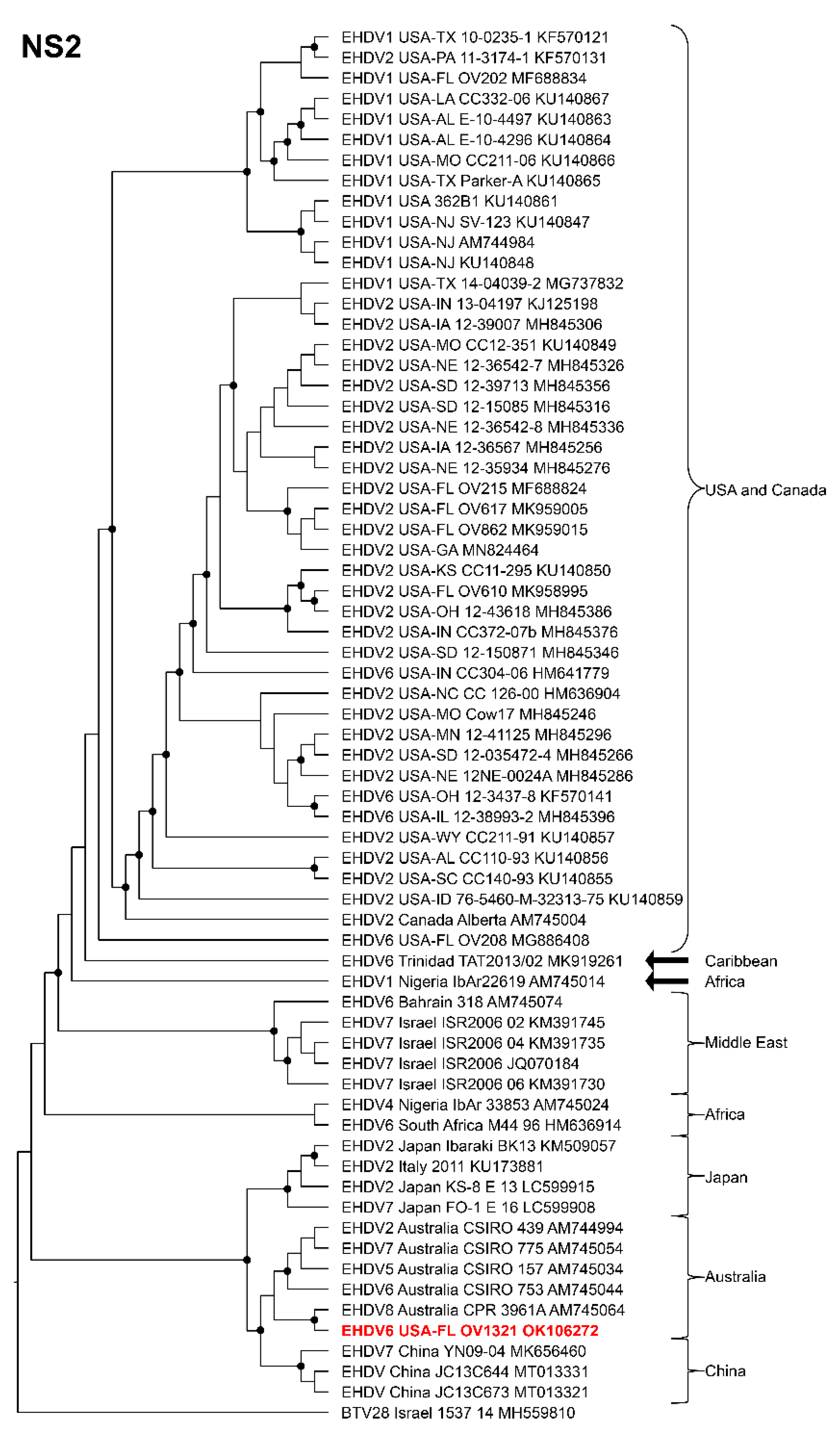 Viruses 14 01012 g006 Viruses 14 01012 g006