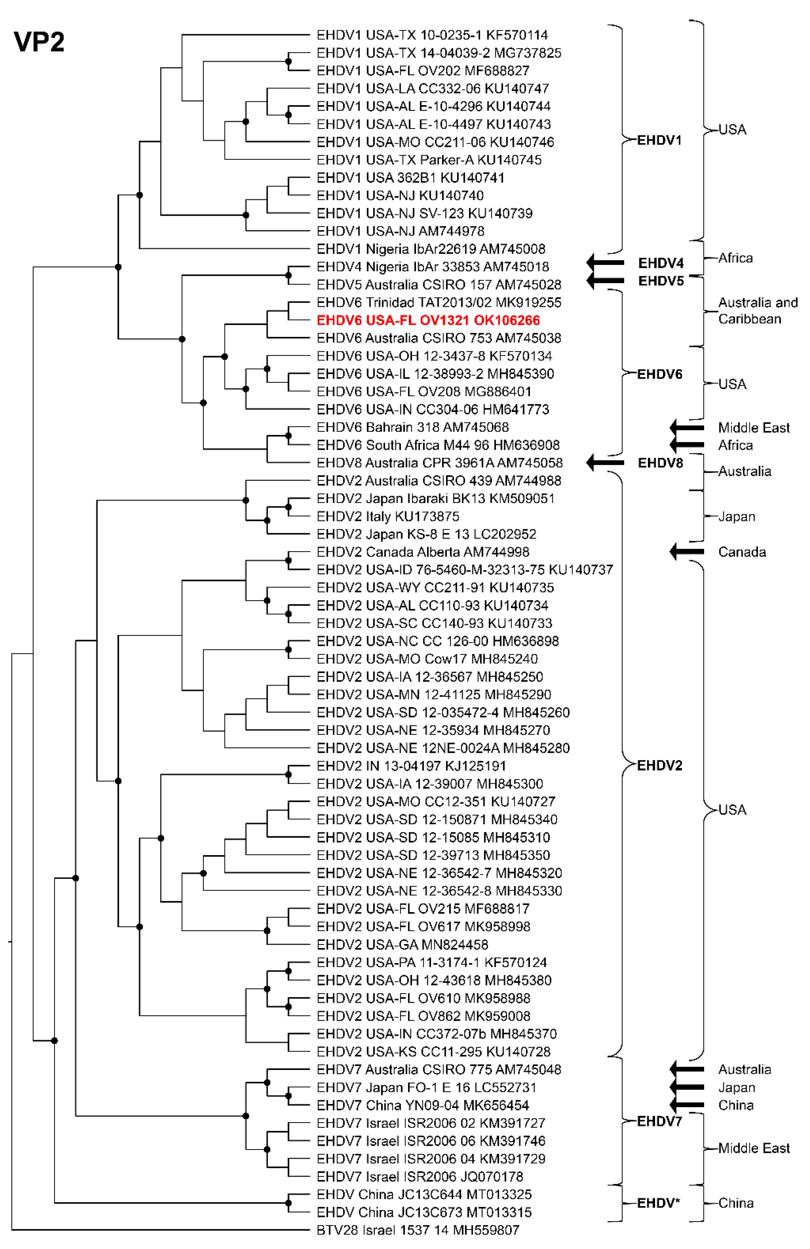 Viruses 14 01012 g007 Viruses 14 01012 g007