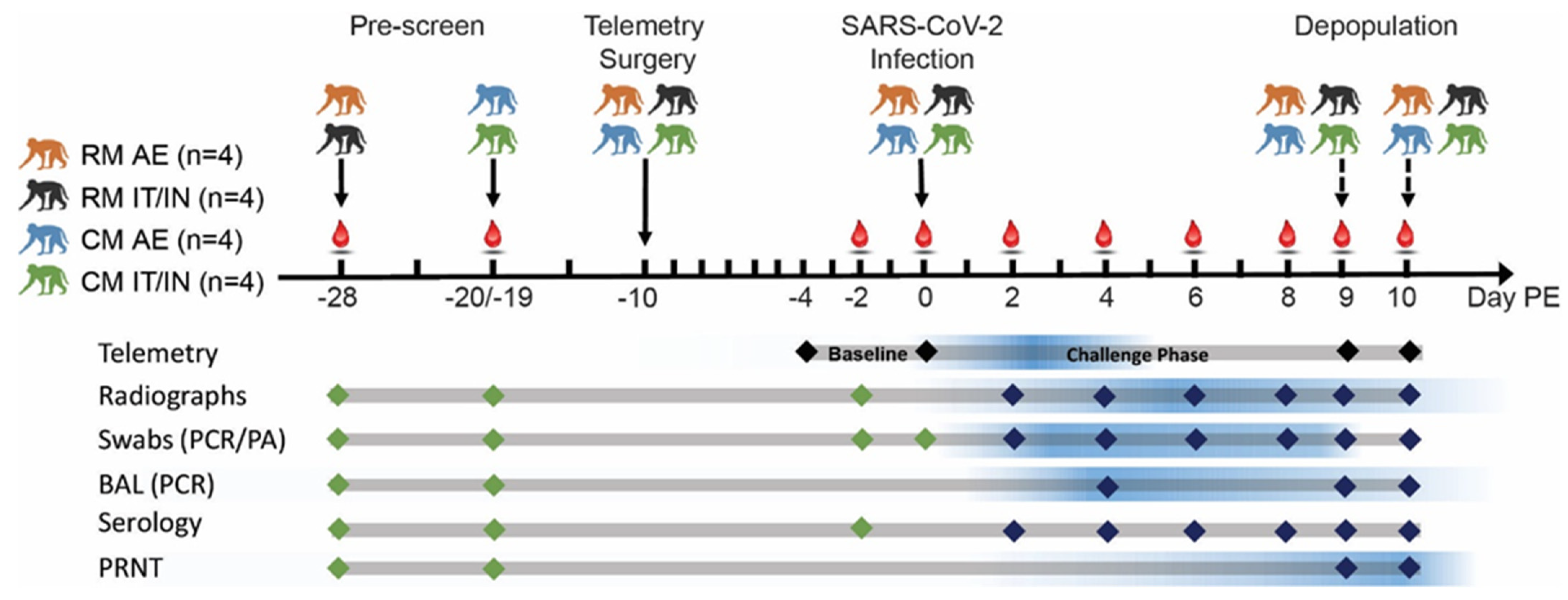 Viruses 14 01013 g001 550