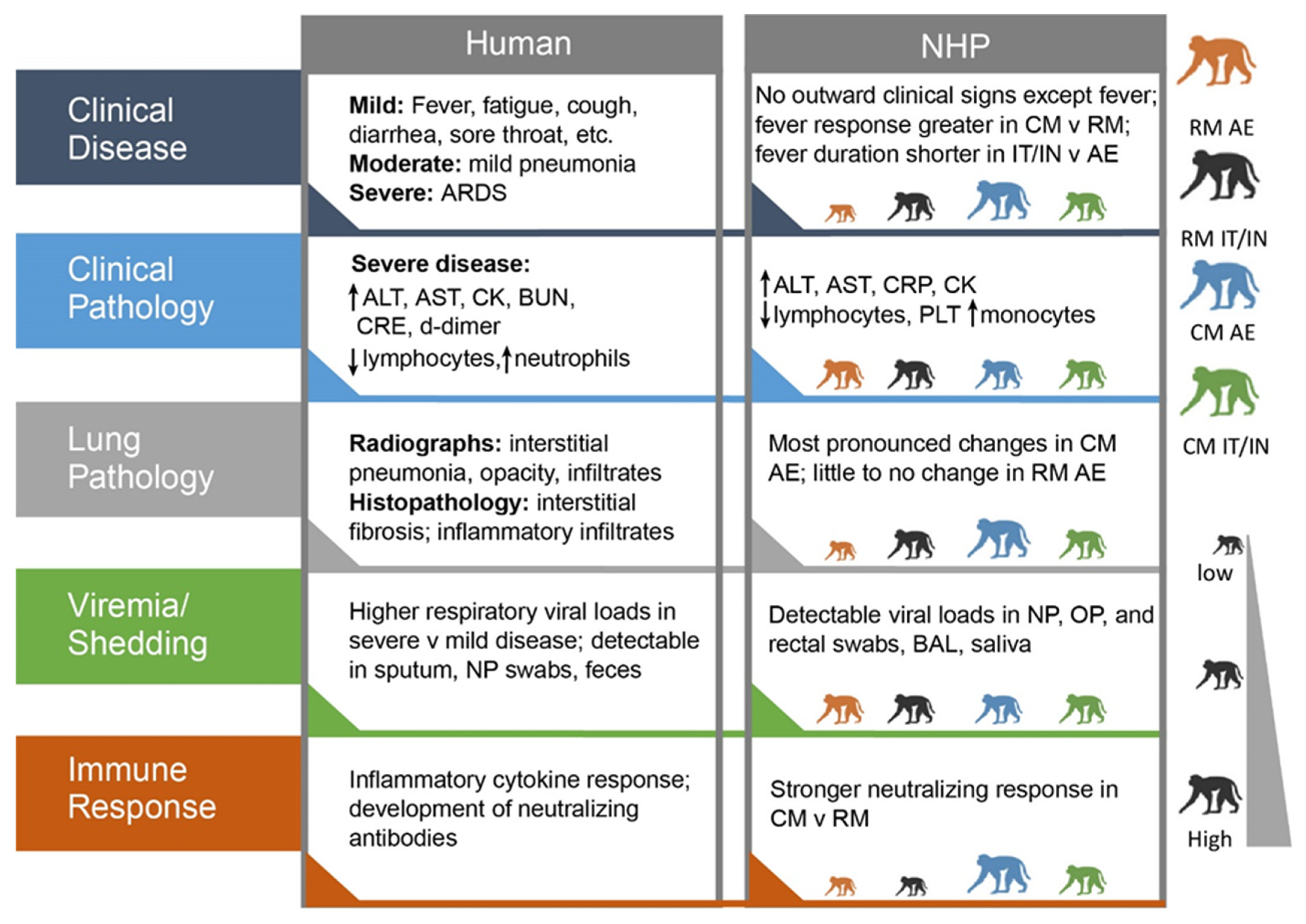 Viruses 14 01013 g008 550