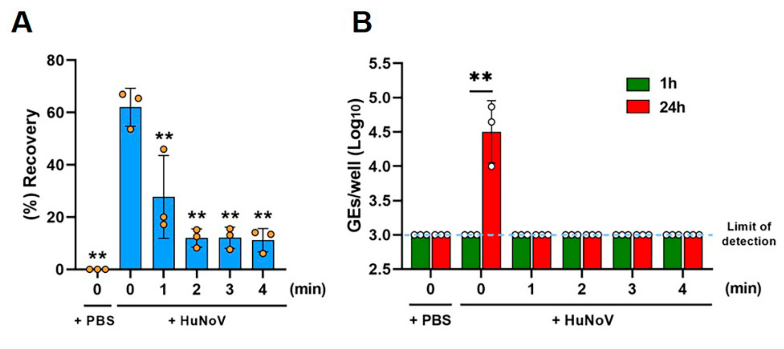 Viruses 14 01014 g002 550