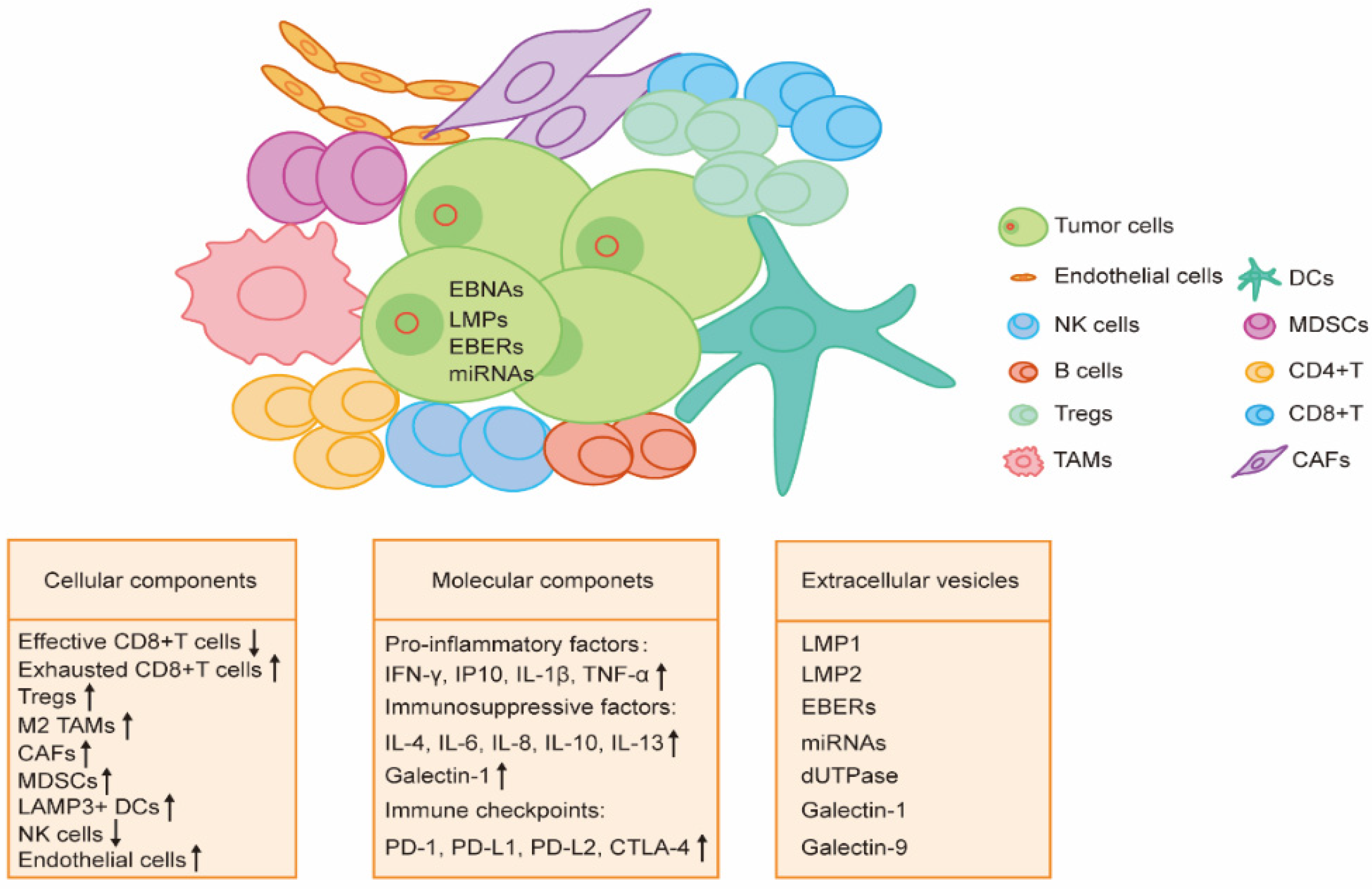 Viruses 14 01017 g002 Viruses 14 01017 g002