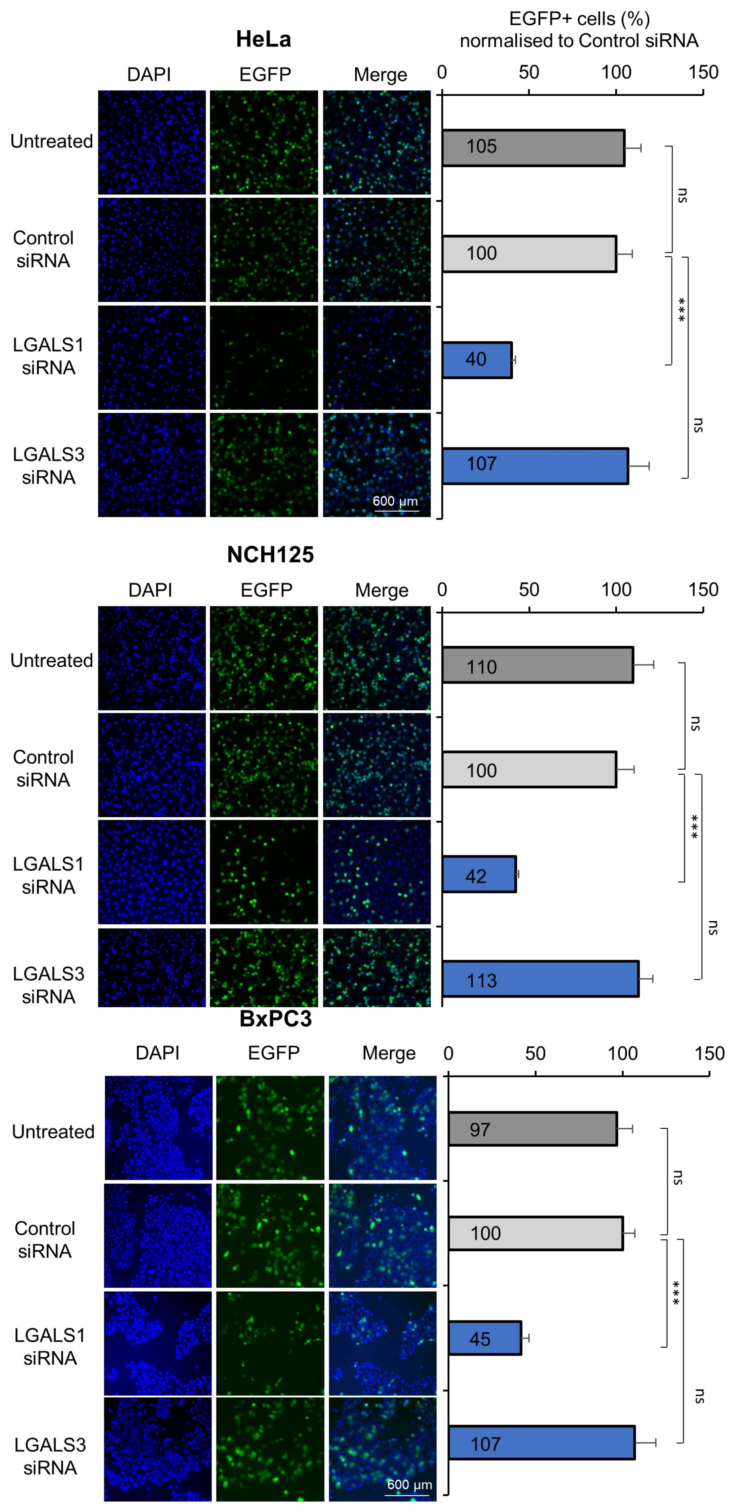 Viruses 14 01018 g001 550