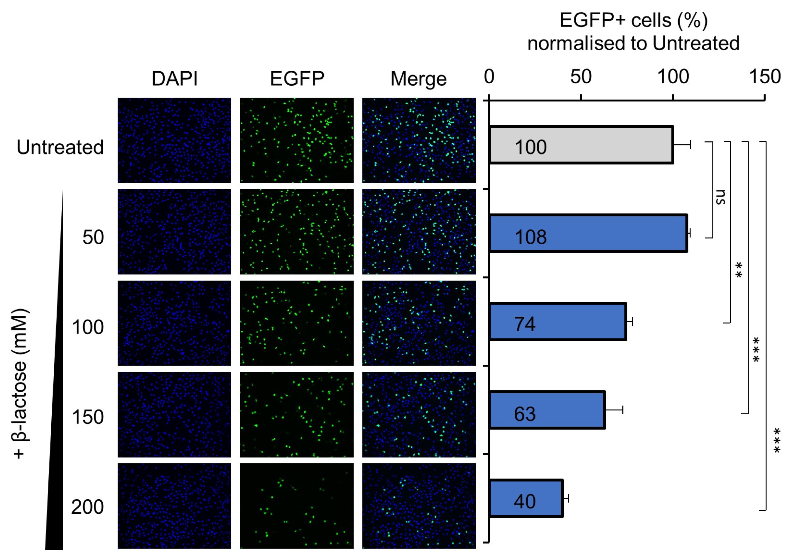 Viruses 14 01018 g002 550
