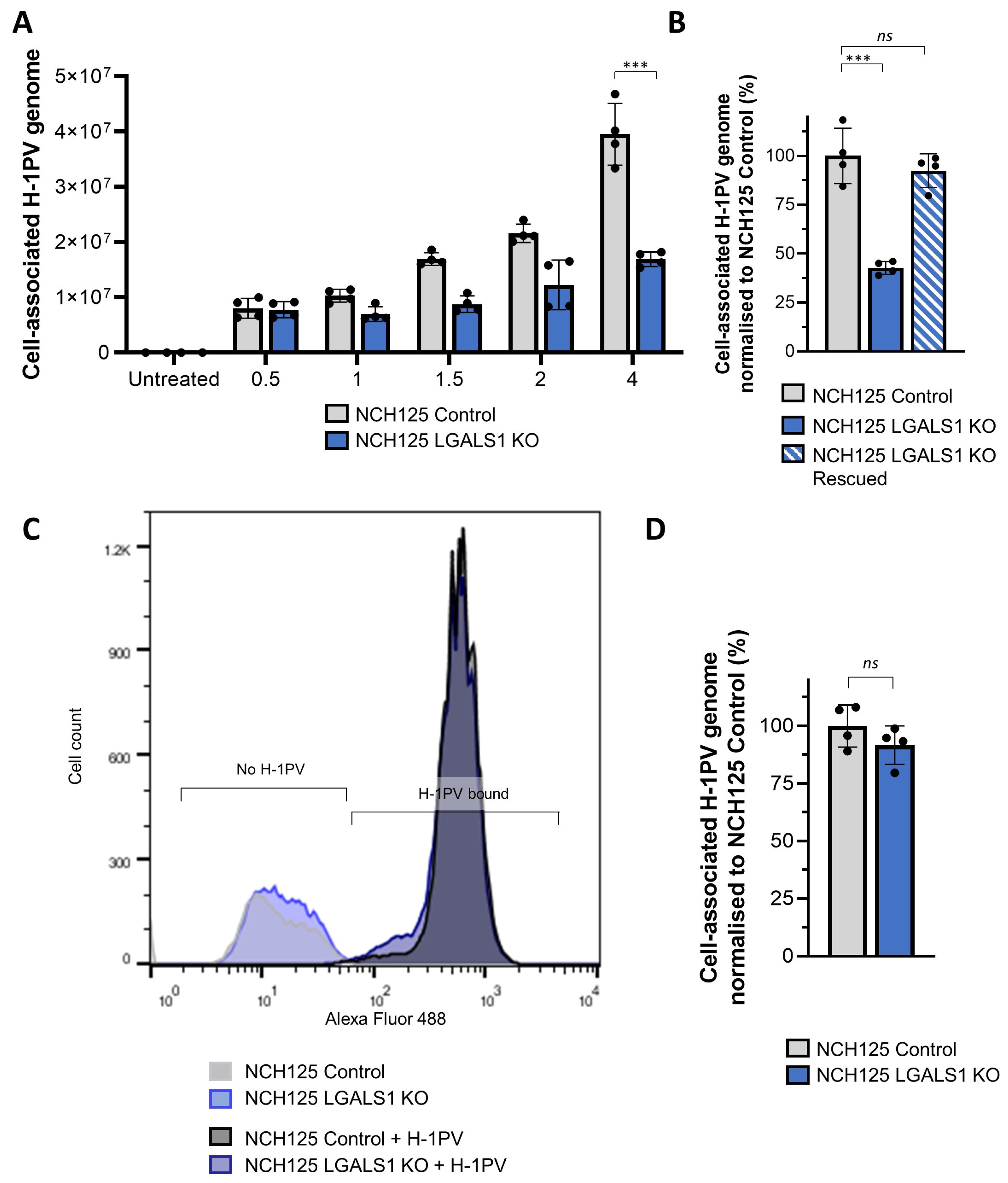 Viruses 14 01018 g005 550