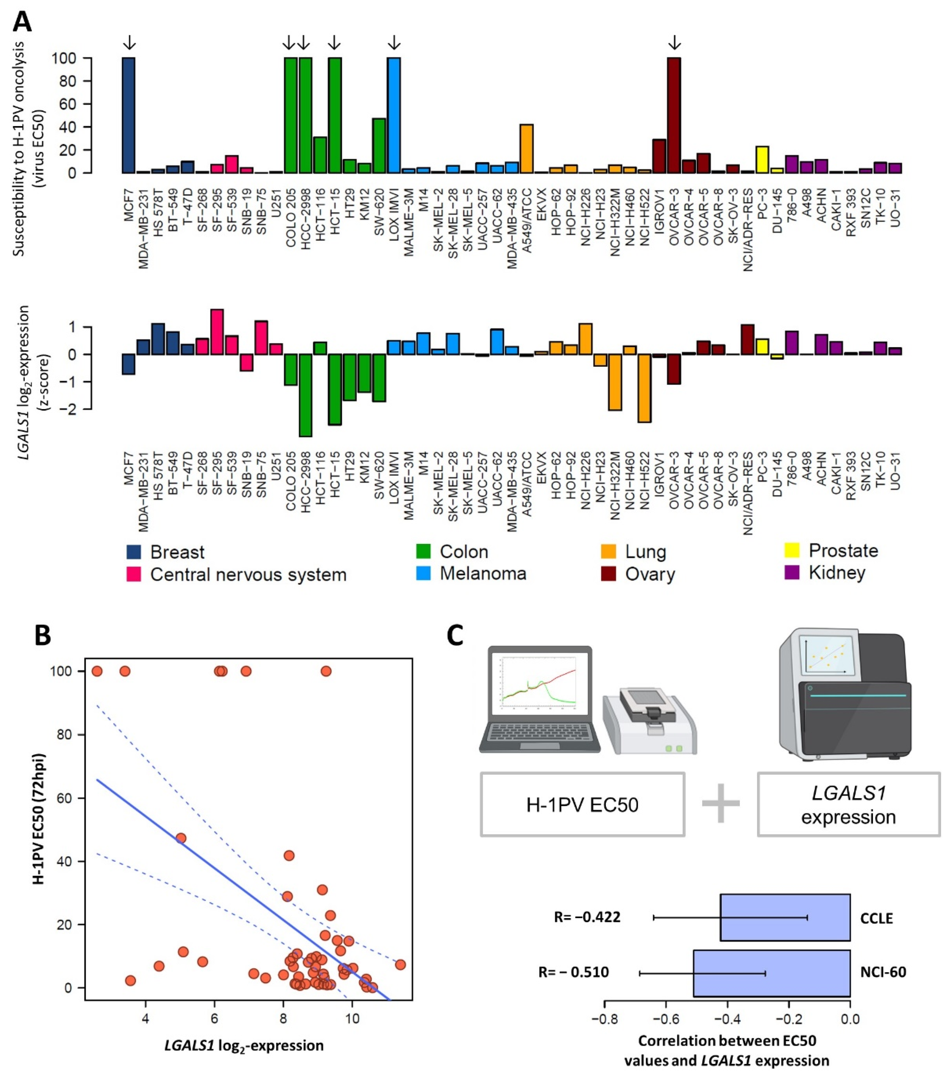 Viruses 14 01018 g008 550