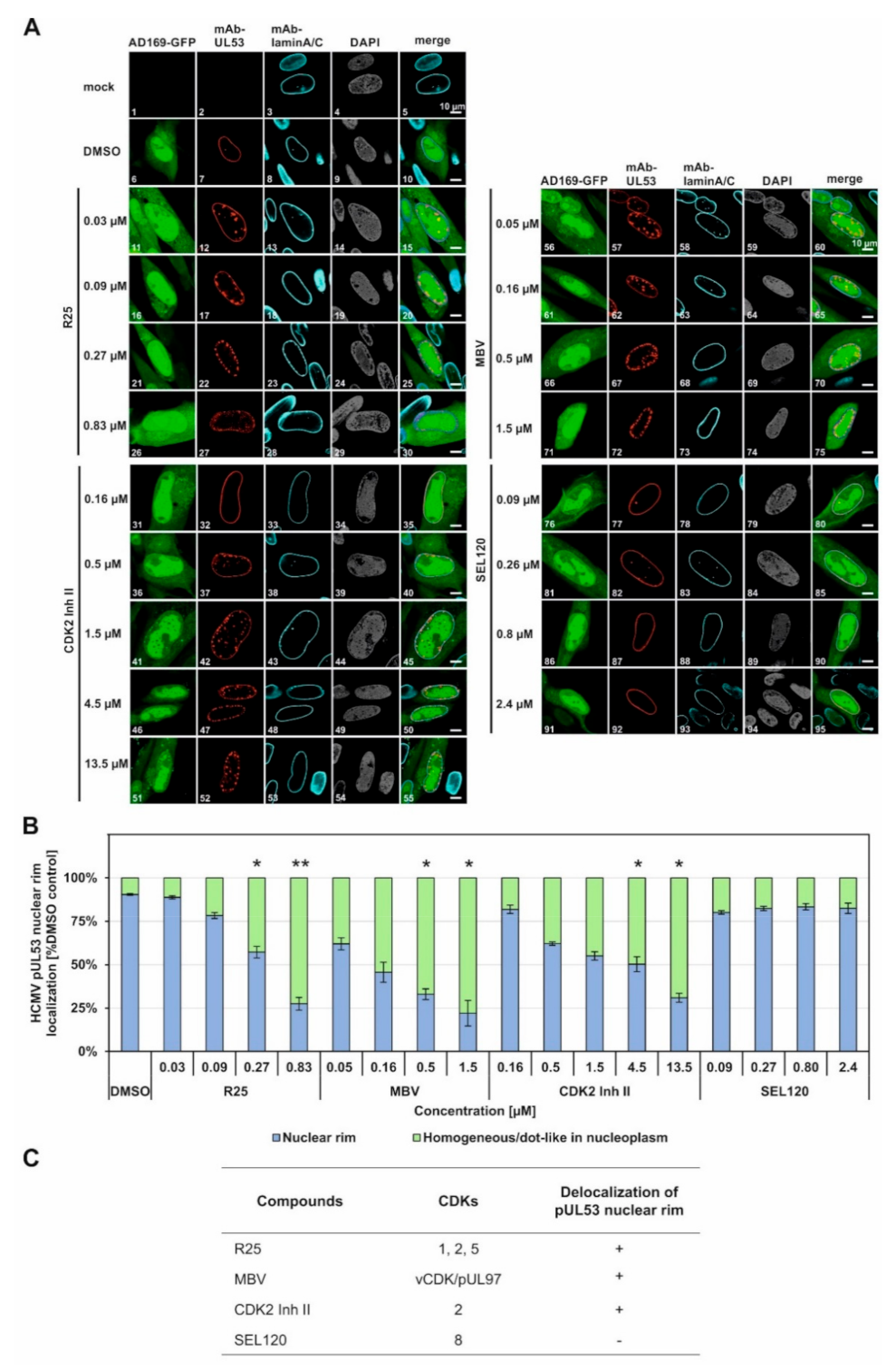 Viruses 14 01021 g005
