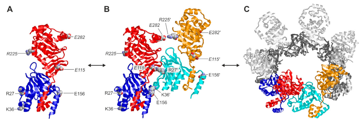 Viruses 14 01021 g009
