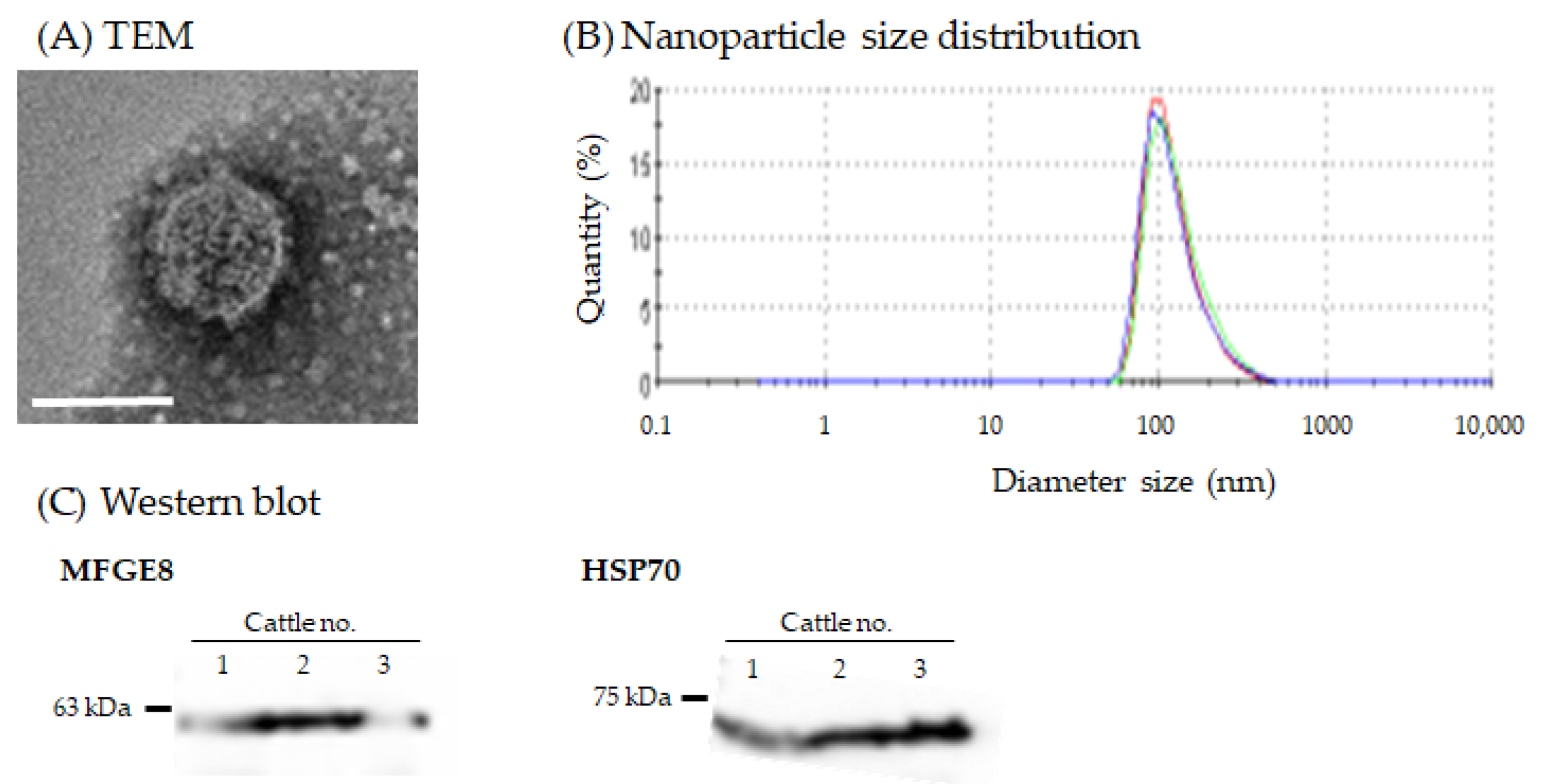 Viruses 14 01022 g001