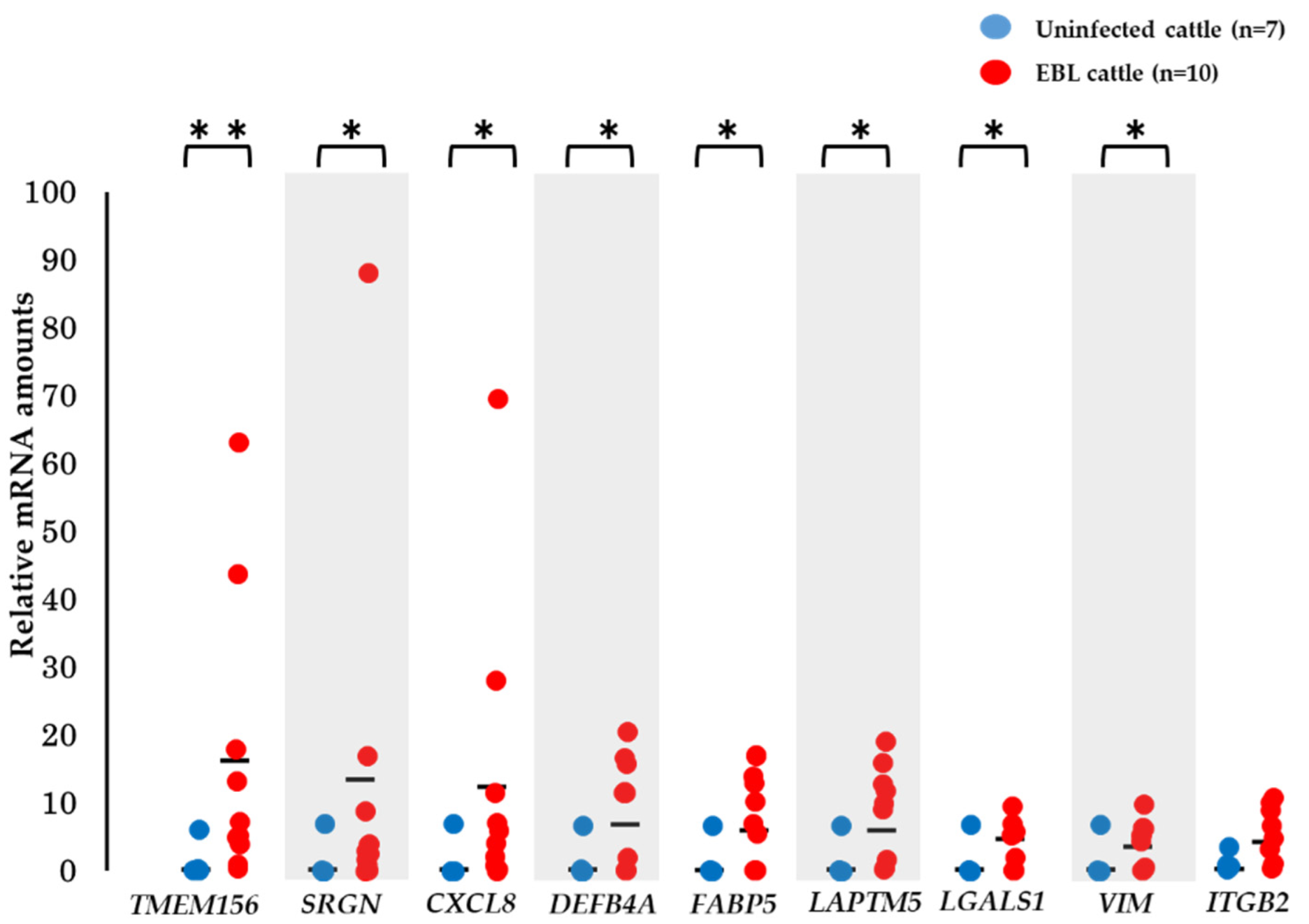 Viruses 14 01022 g004