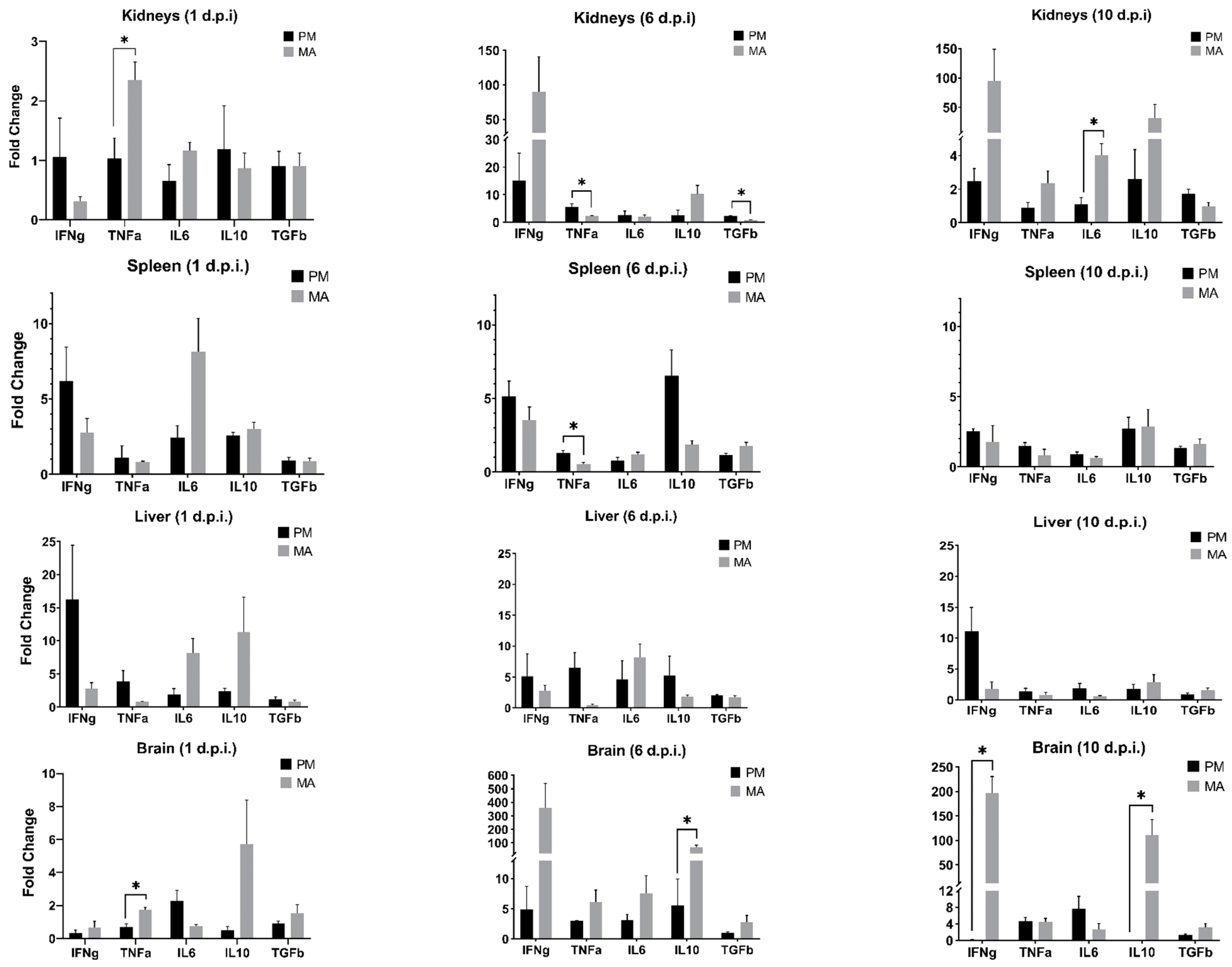 Viruses 14 01026 g003