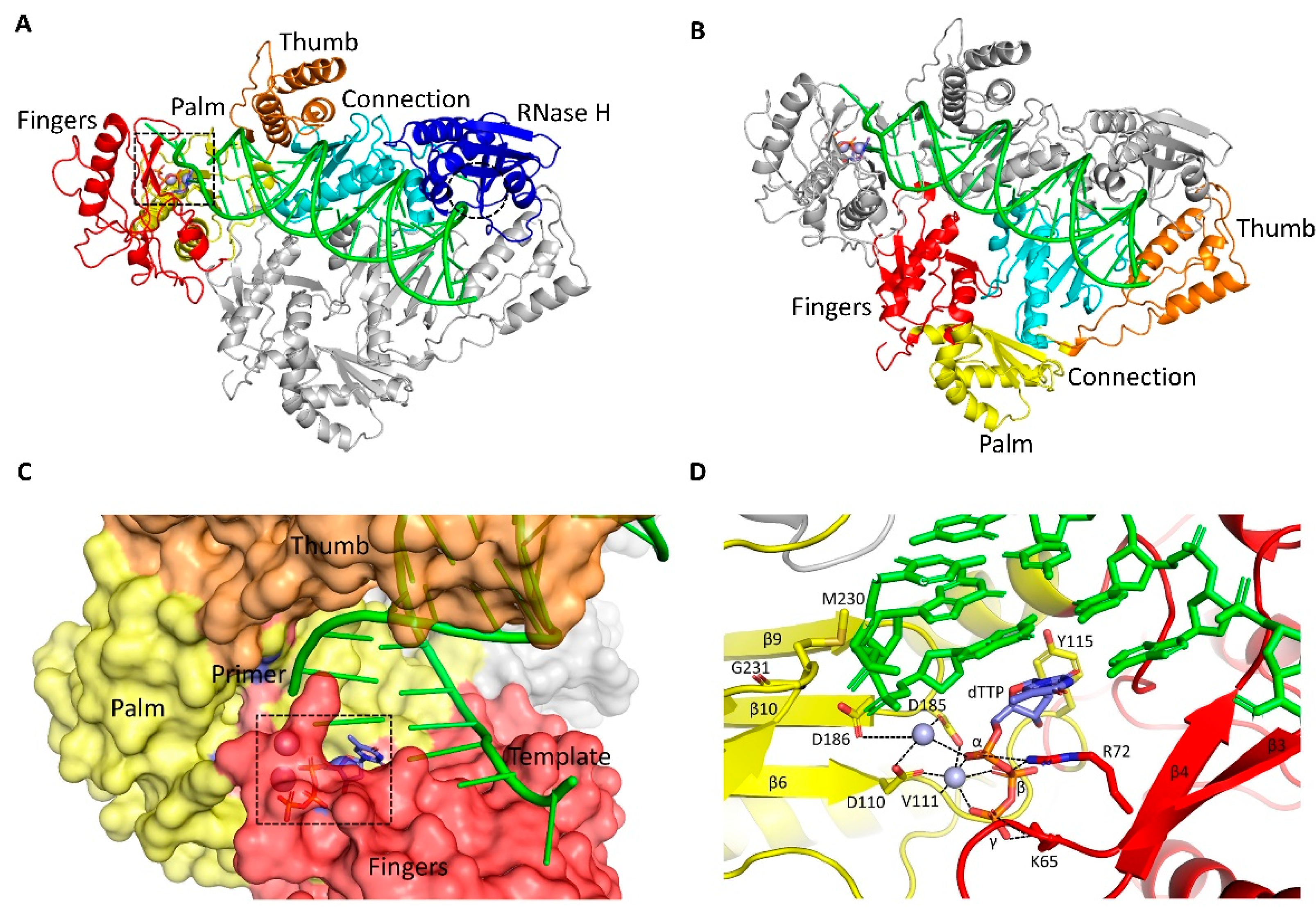 Viruses 14 01027 g003 550