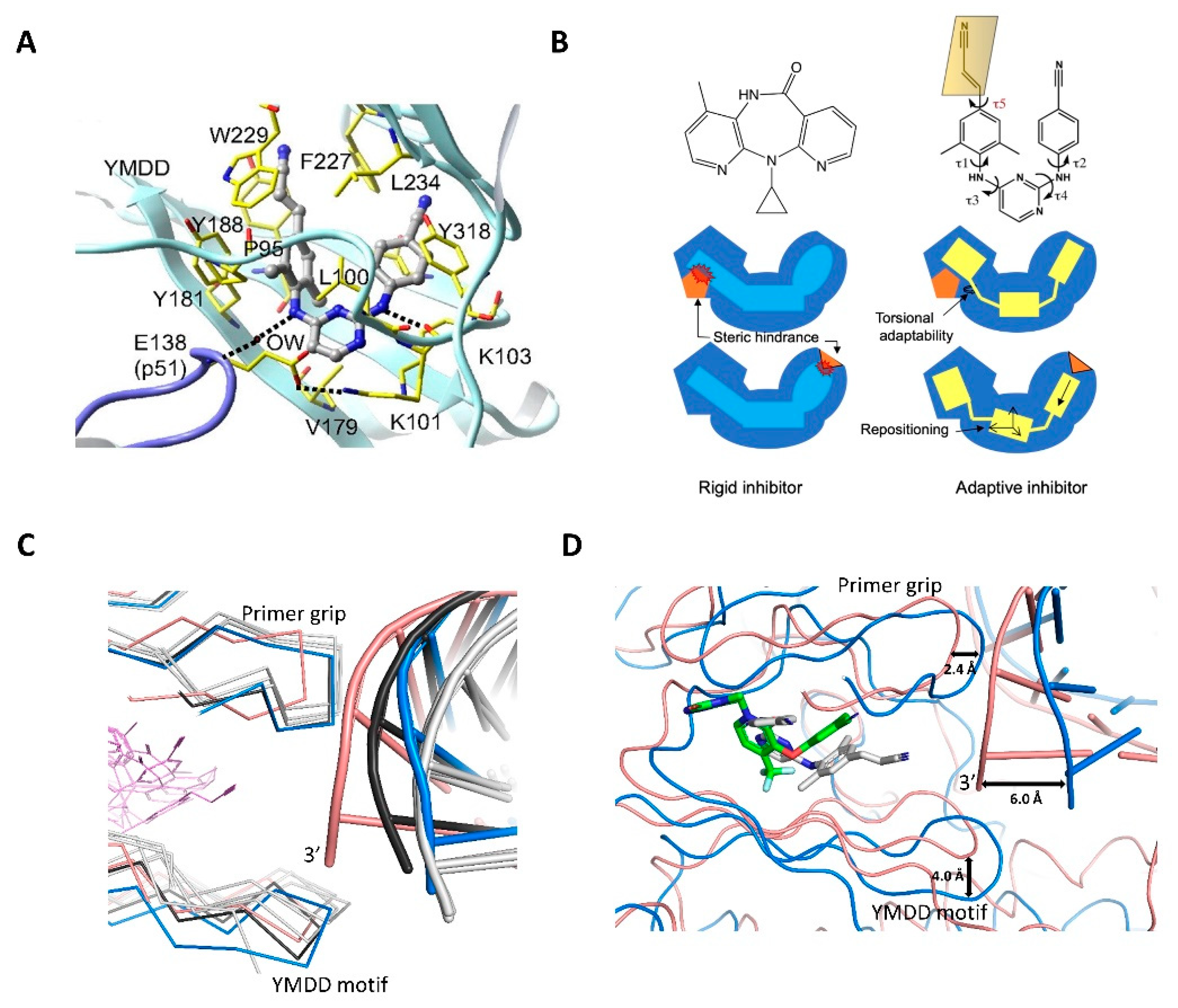 Viruses 14 01027 g005 550