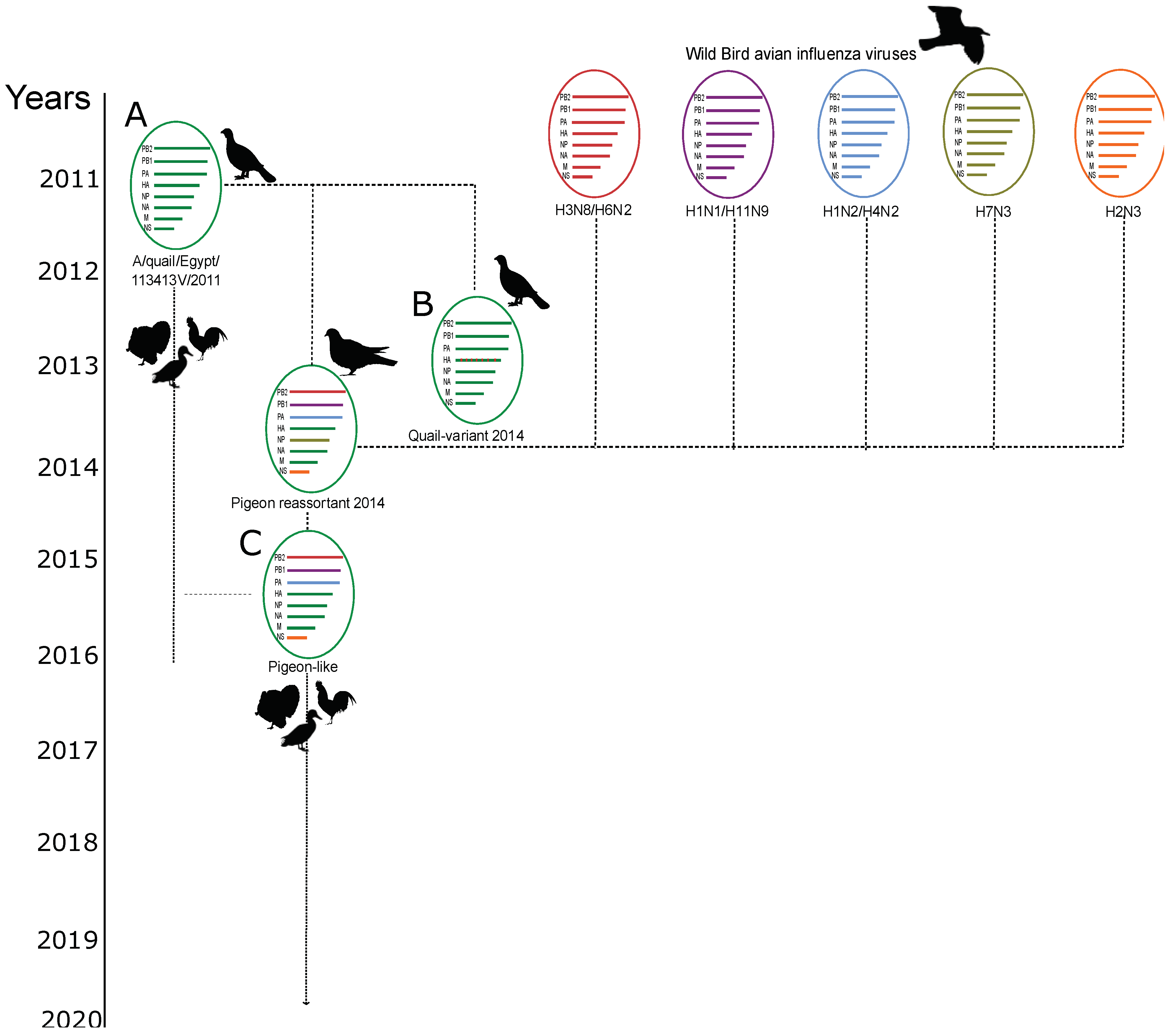 Viruses 14 01030 g001