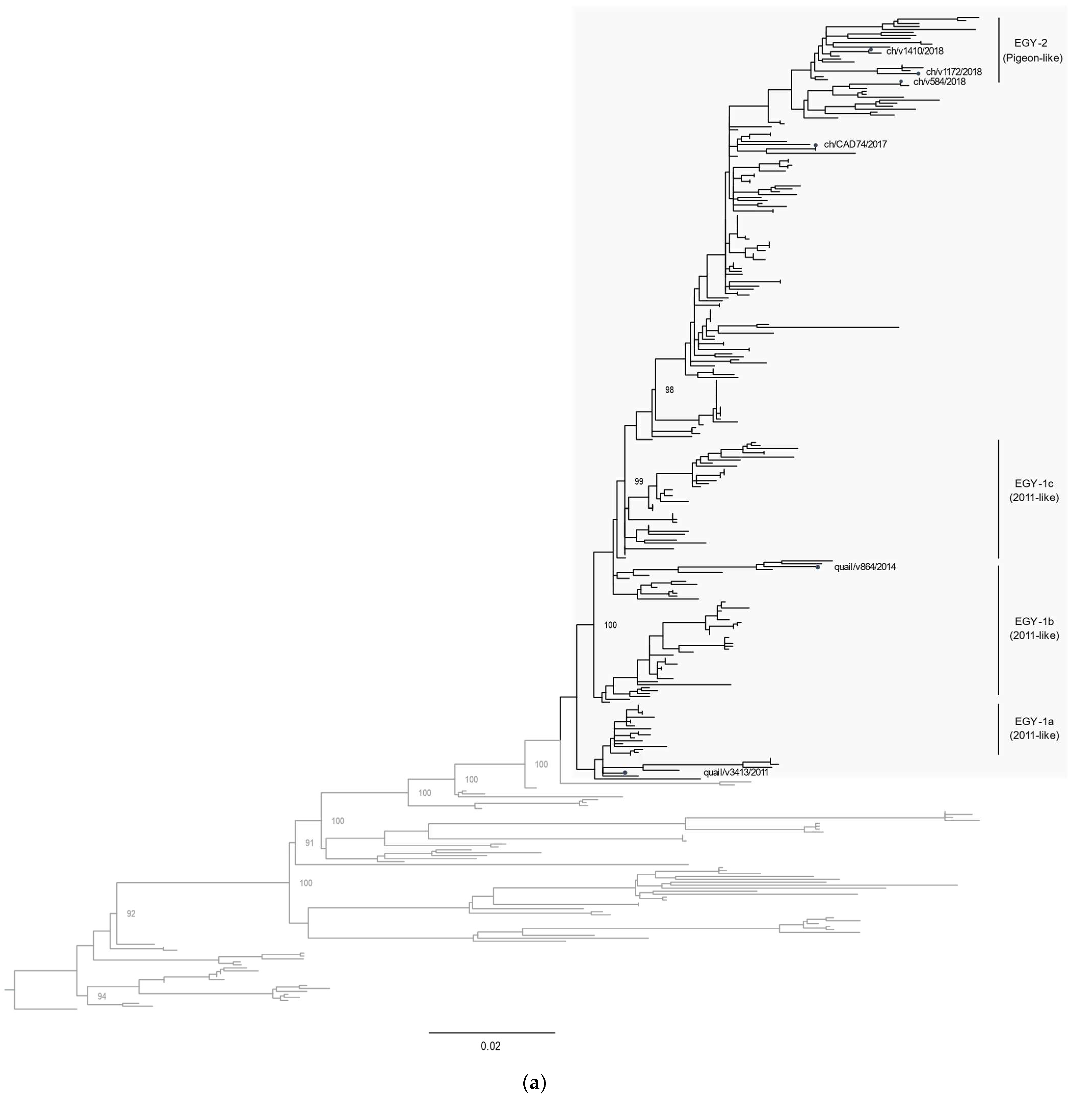 Viruses 14 01030 g002a
