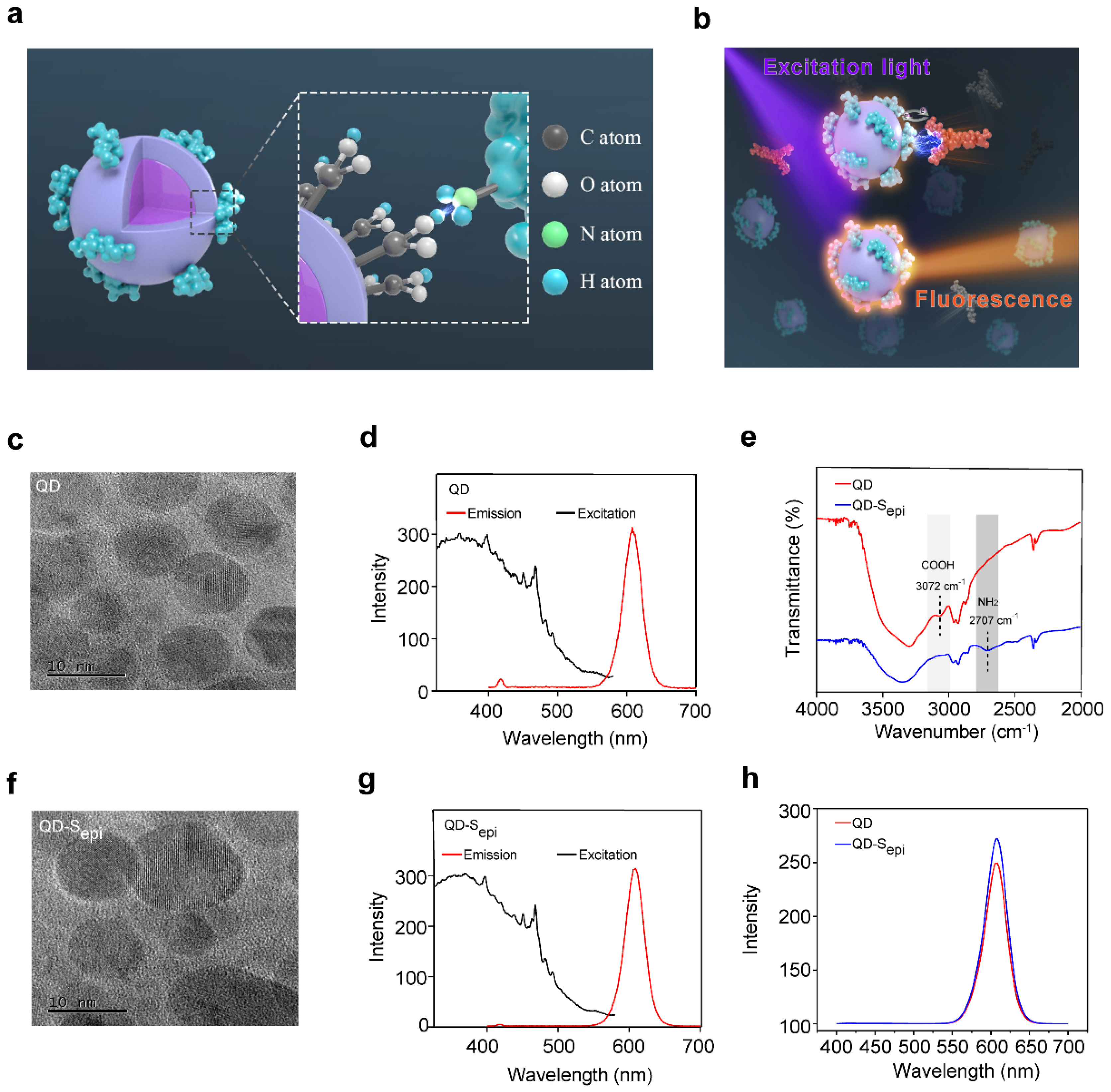 Viruses 14 01031 g001