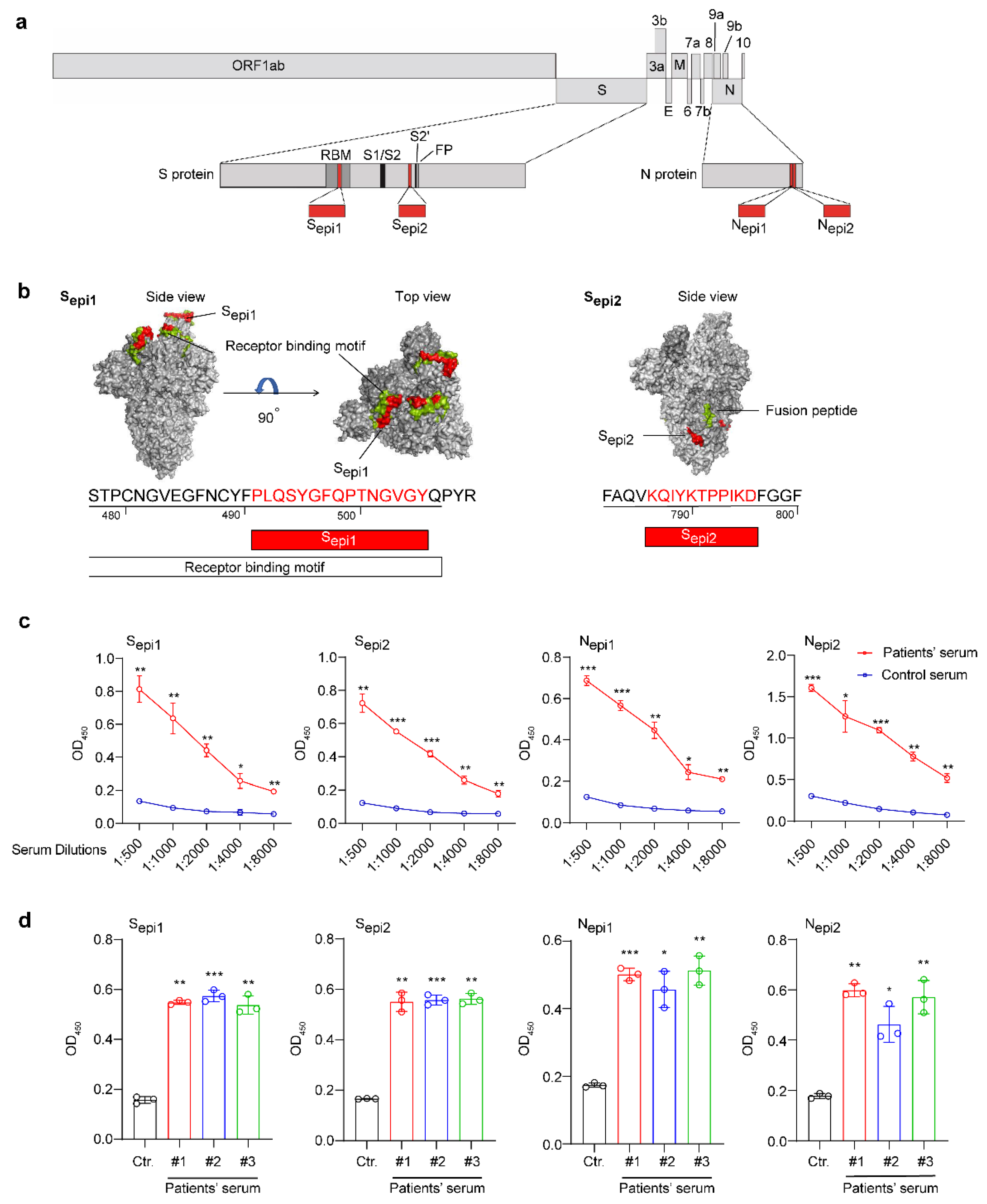 Viruses 14 01031 g003