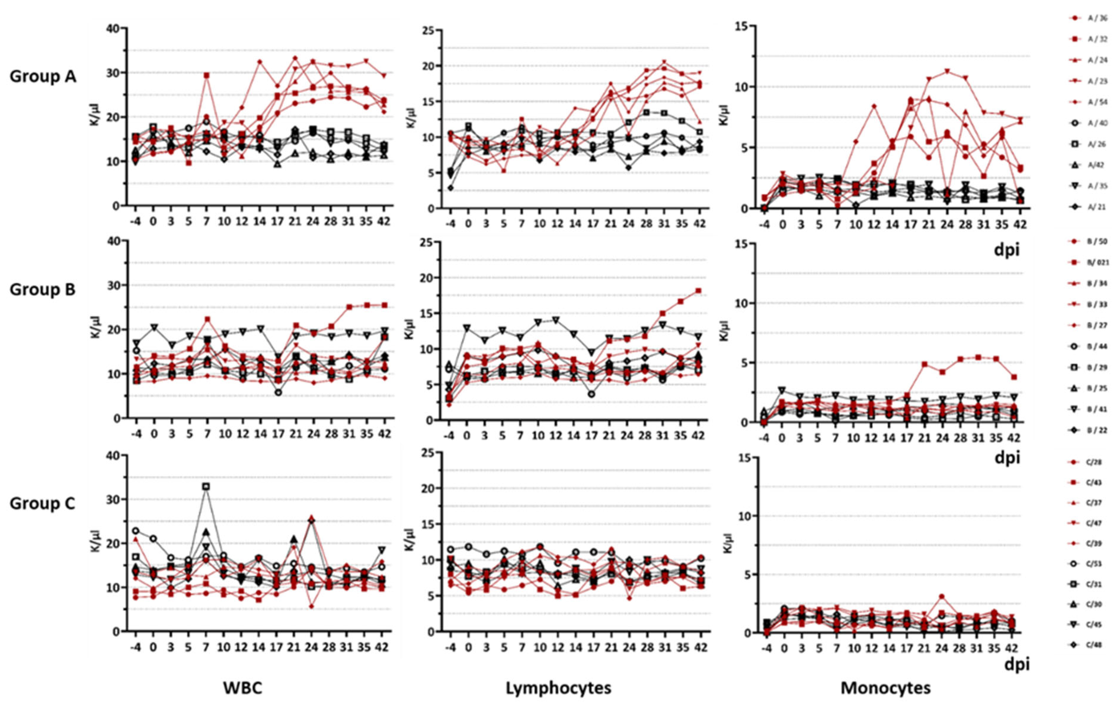 Viruses 14 01034 g002 550