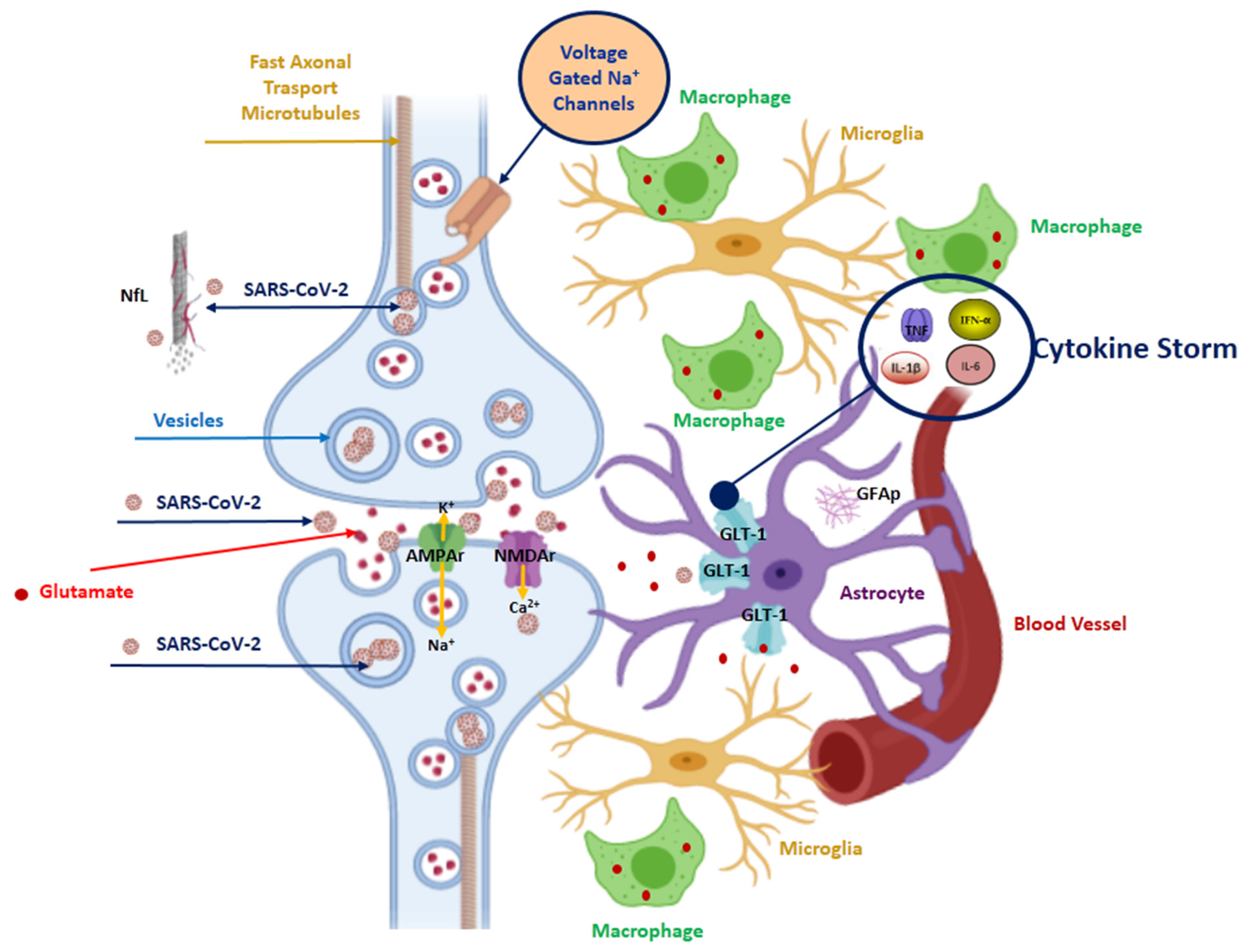 Viruses 14 01035 g003