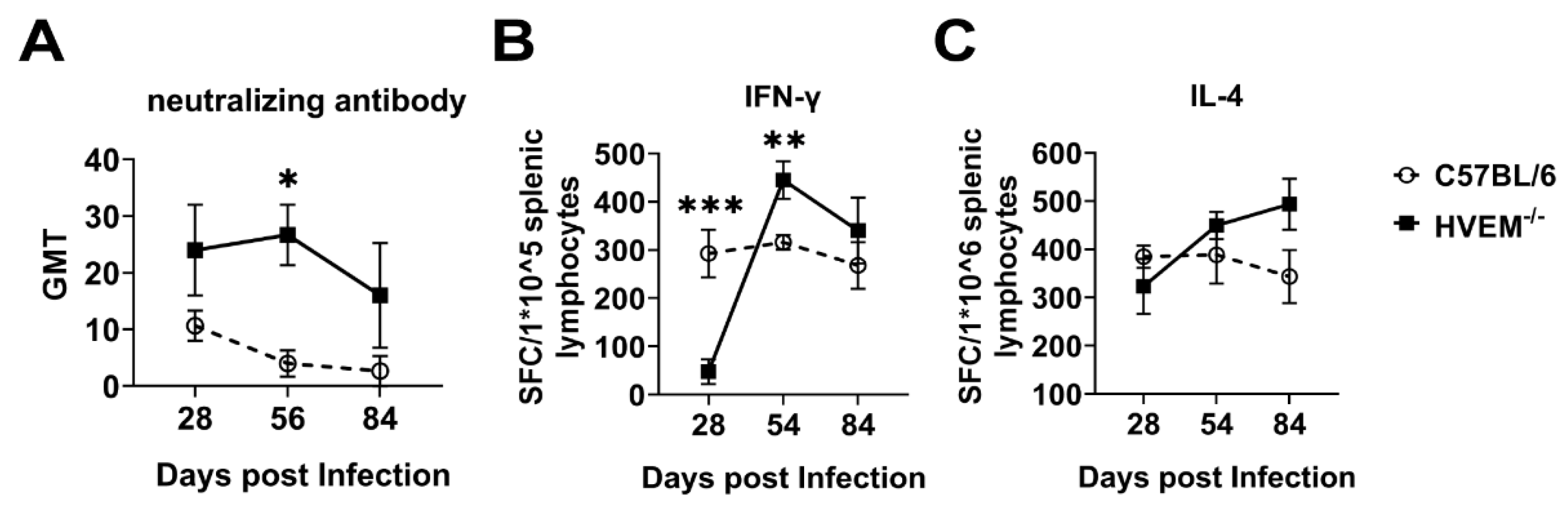 Viruses 14 01046 g006 Viruses 14 01046 g006