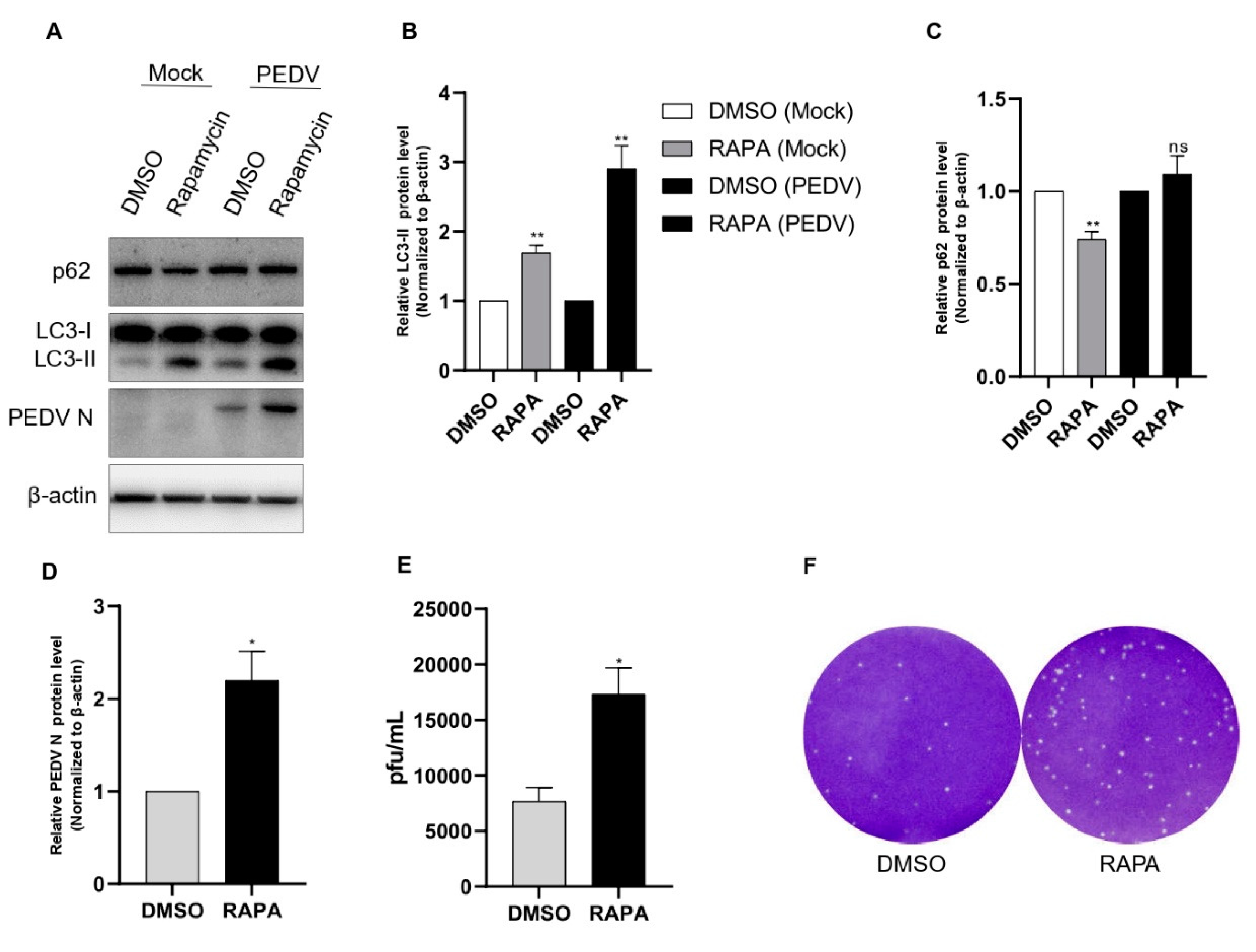 Viruses 14 01050 g002