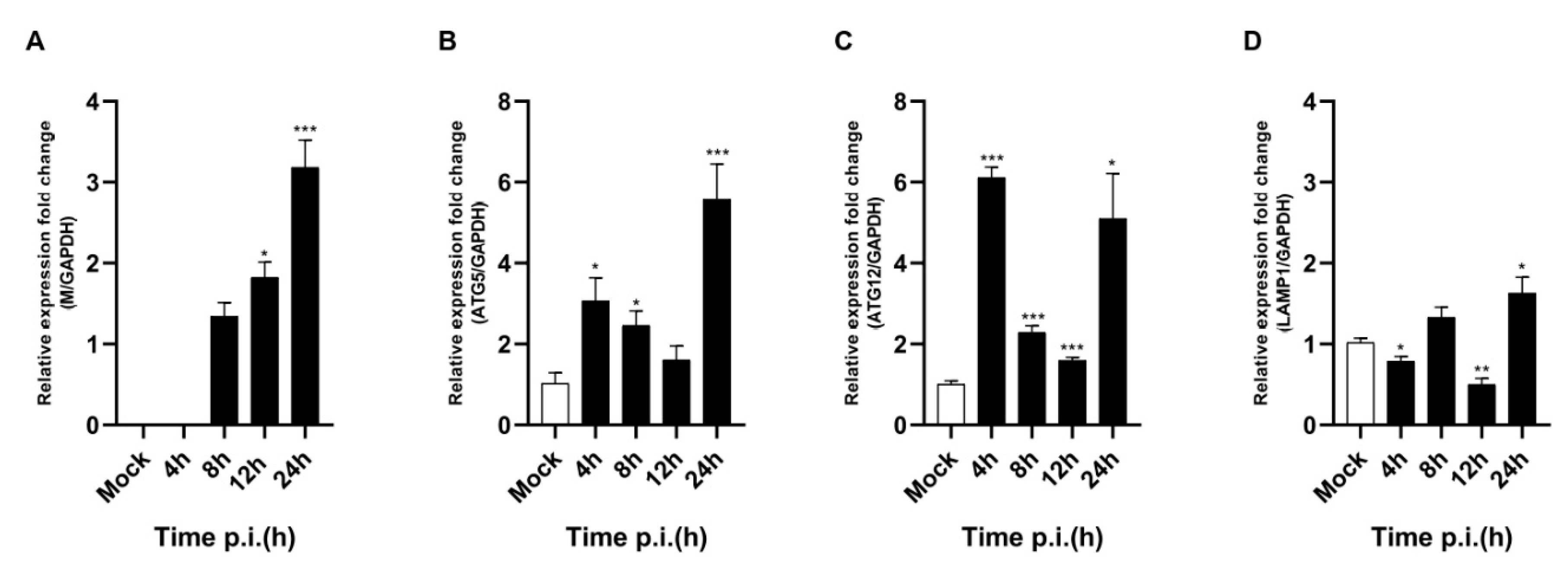 Viruses 14 01050 g005