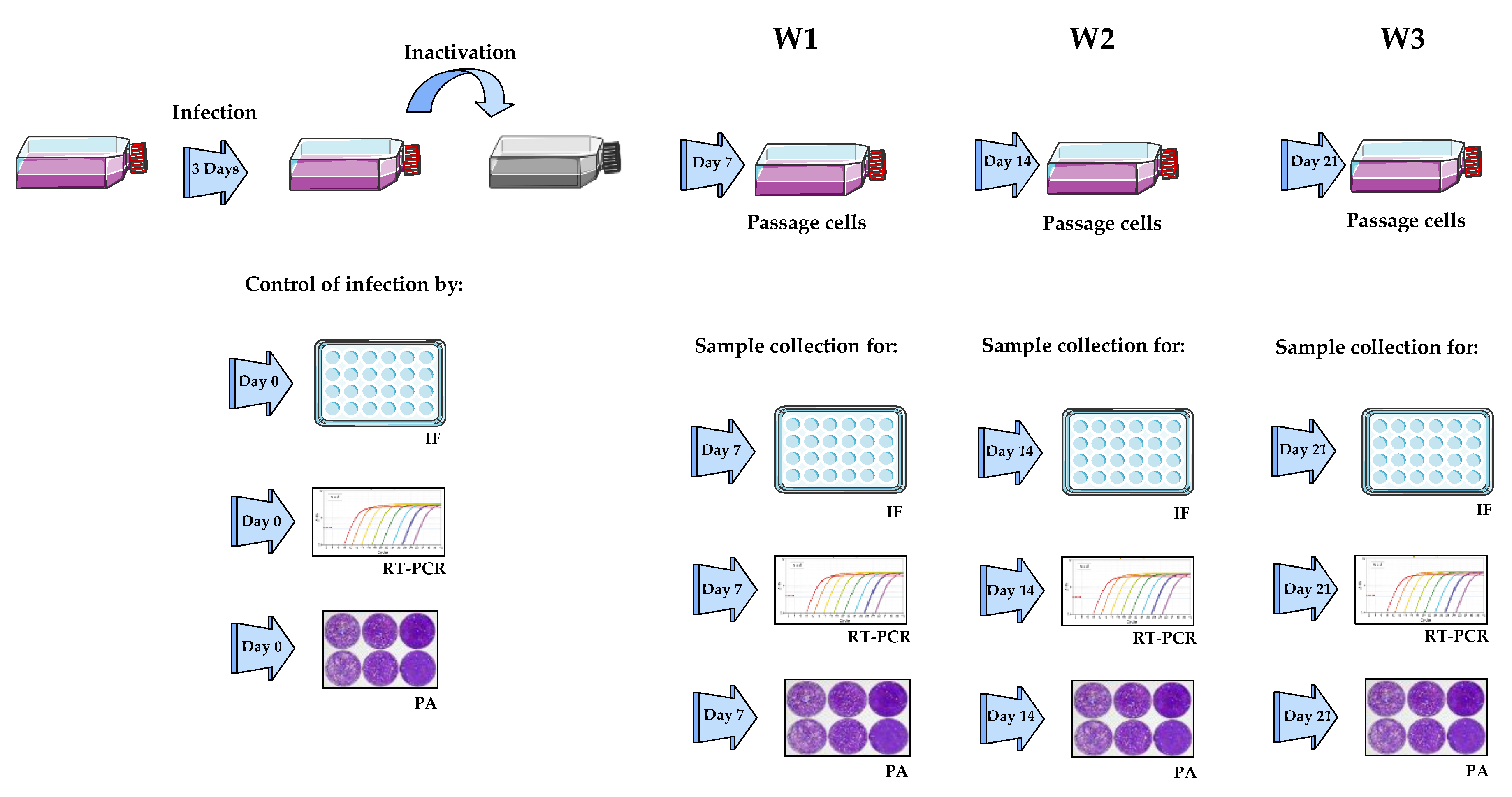 Viruses 14 01052 g001 550