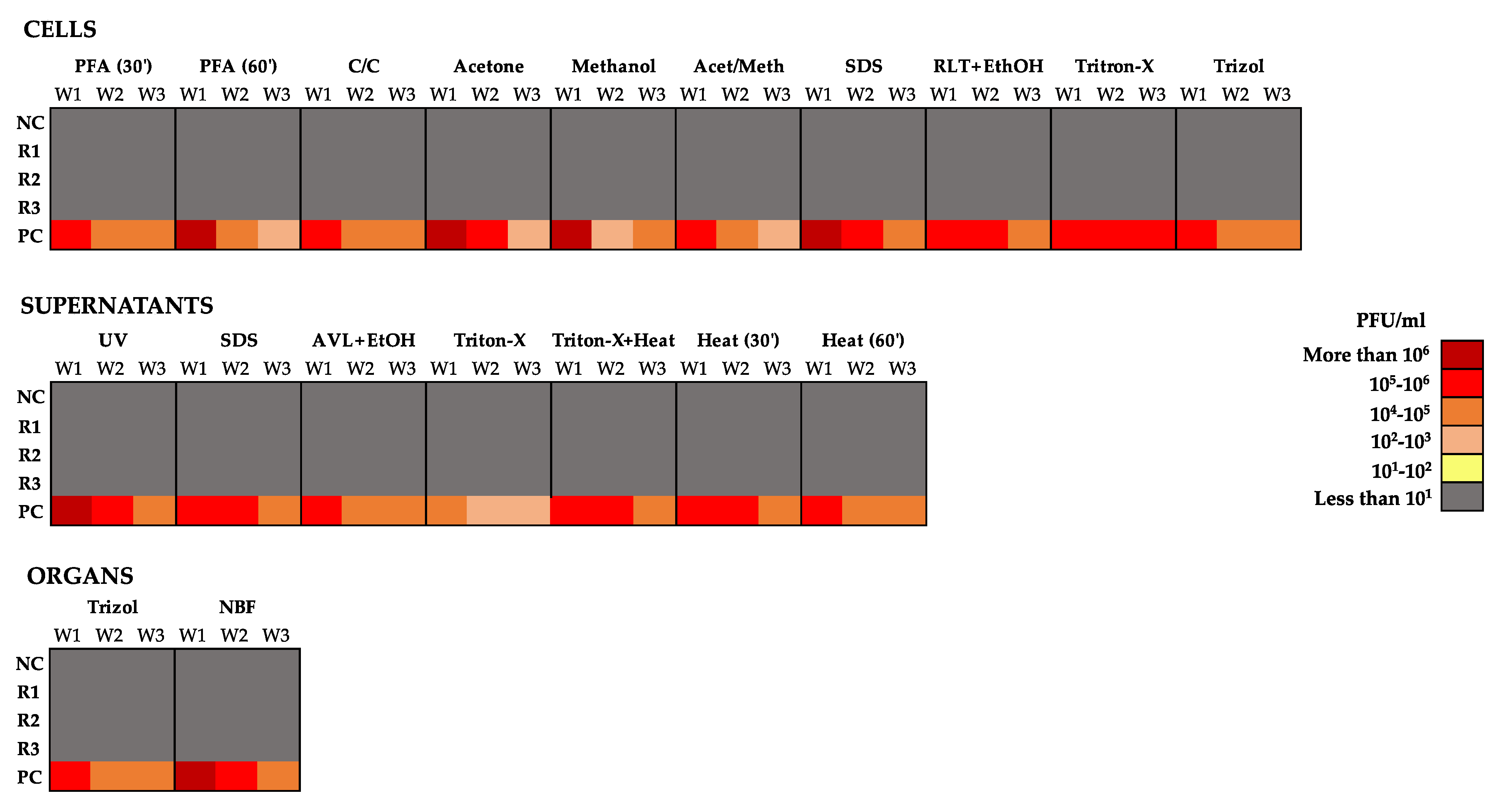 Viruses 14 01052 g006 550