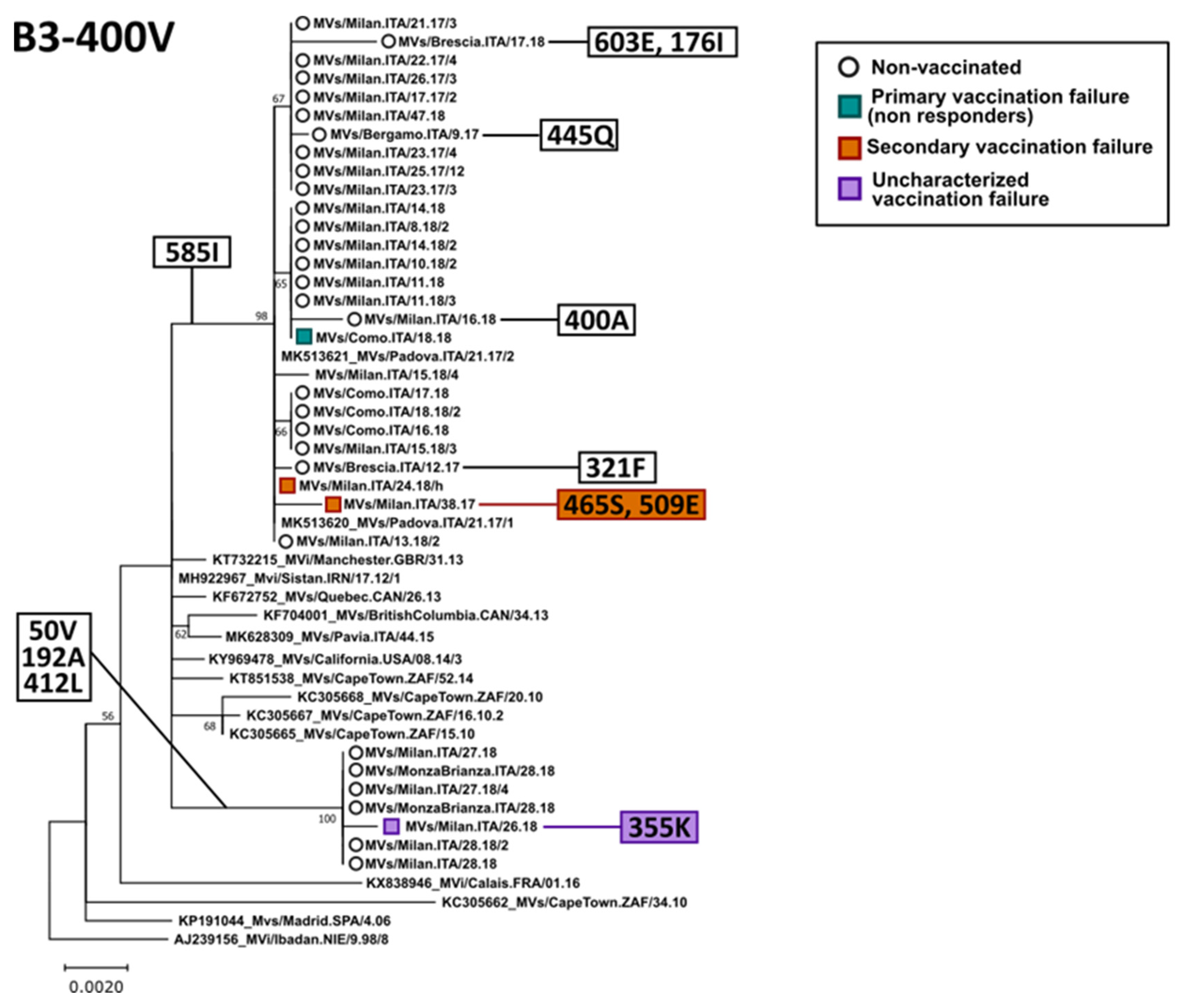 Viruses 14 01068 g003 Viruses 14 01068 g003