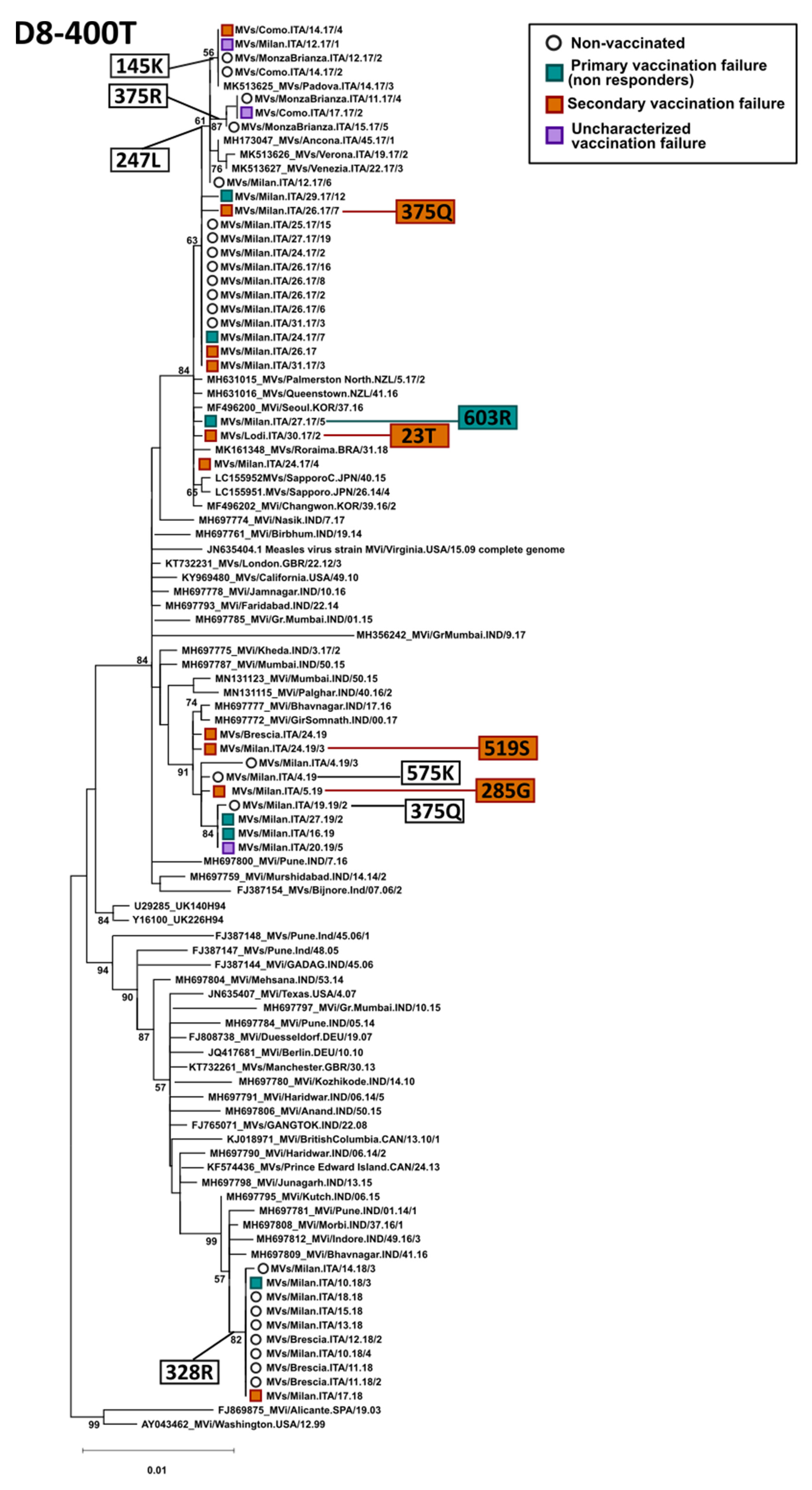 Viruses 14 01068 g004 Viruses 14 01068 g004
