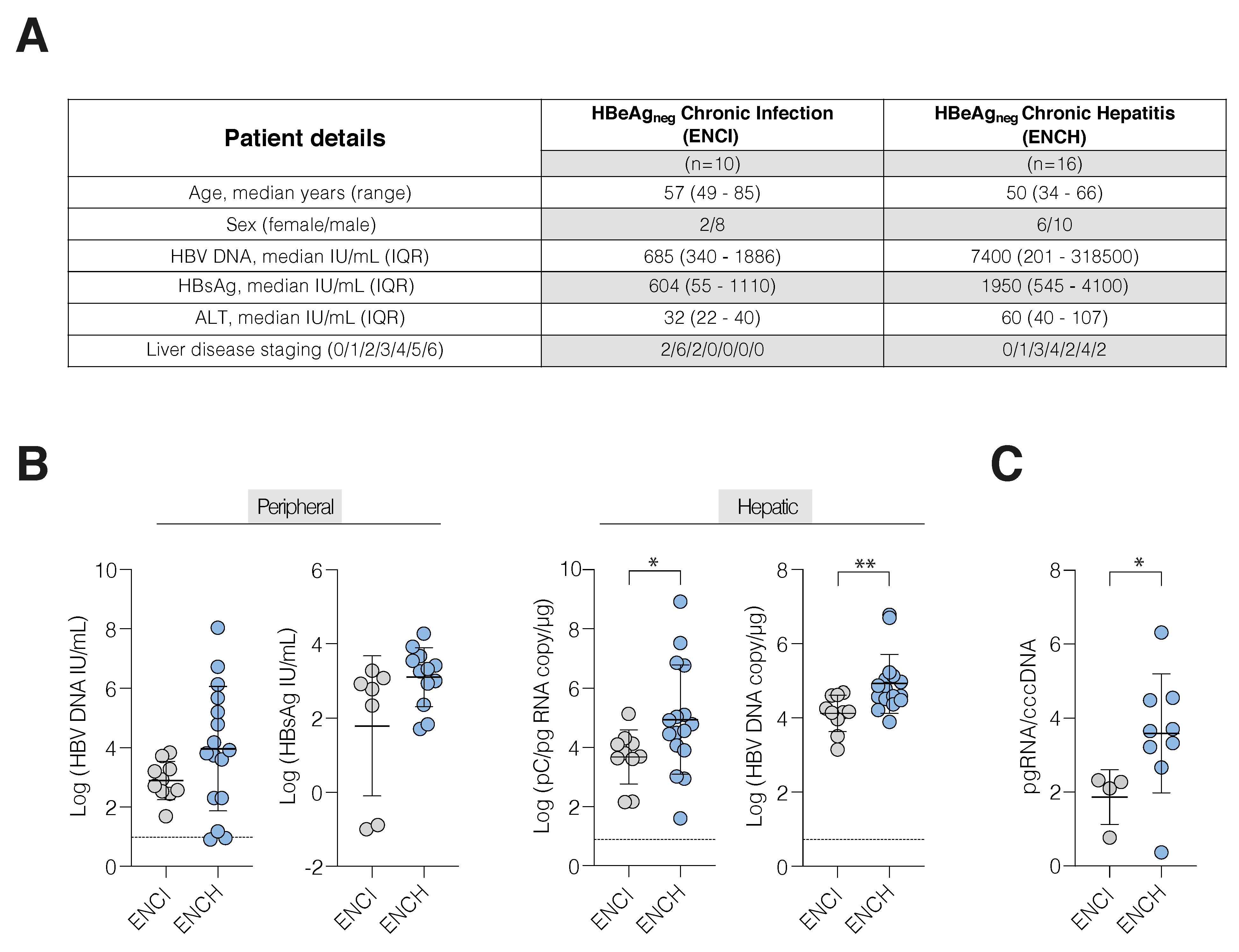 Viruses 14 01070 g001