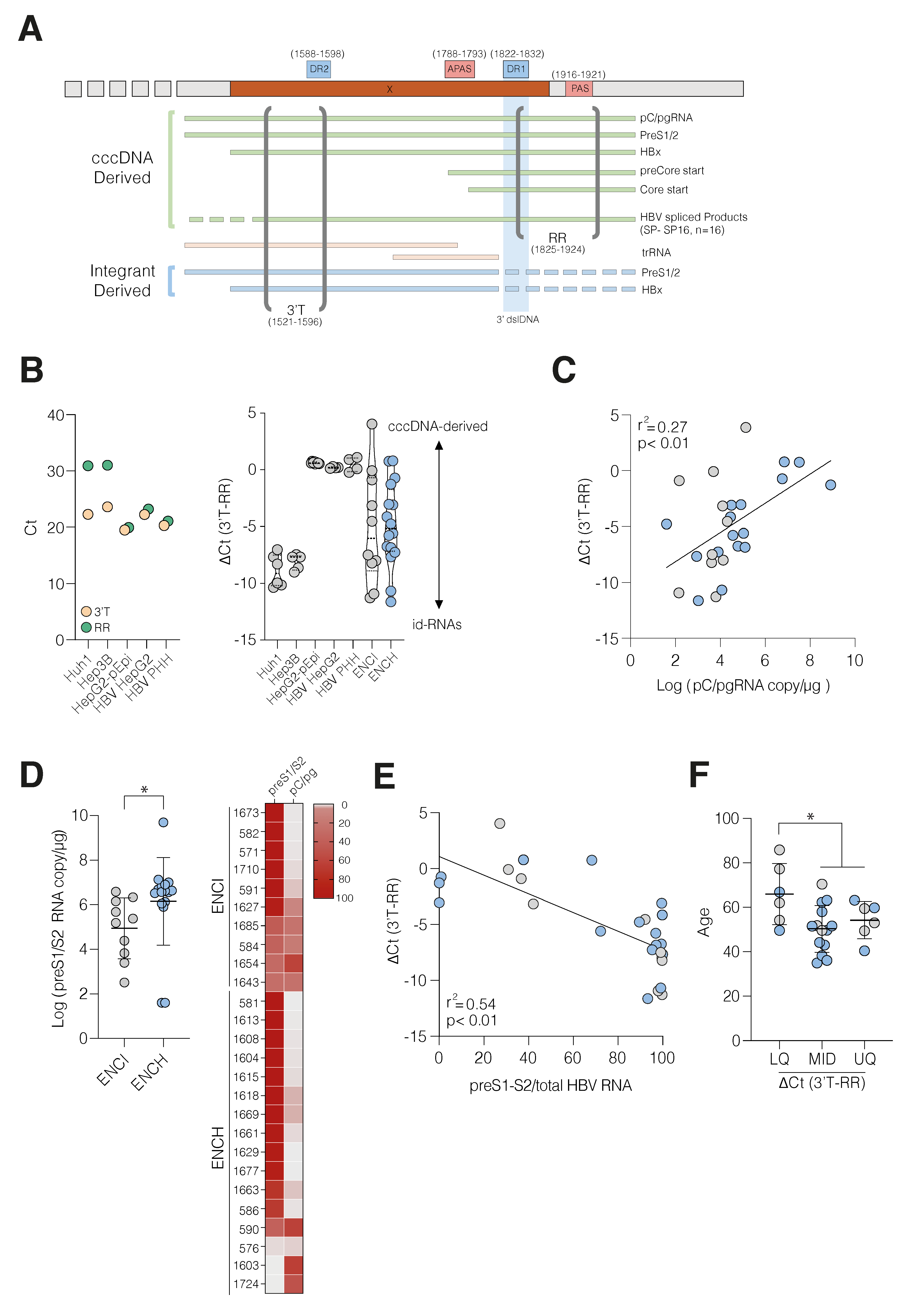Viruses 14 01070 g003