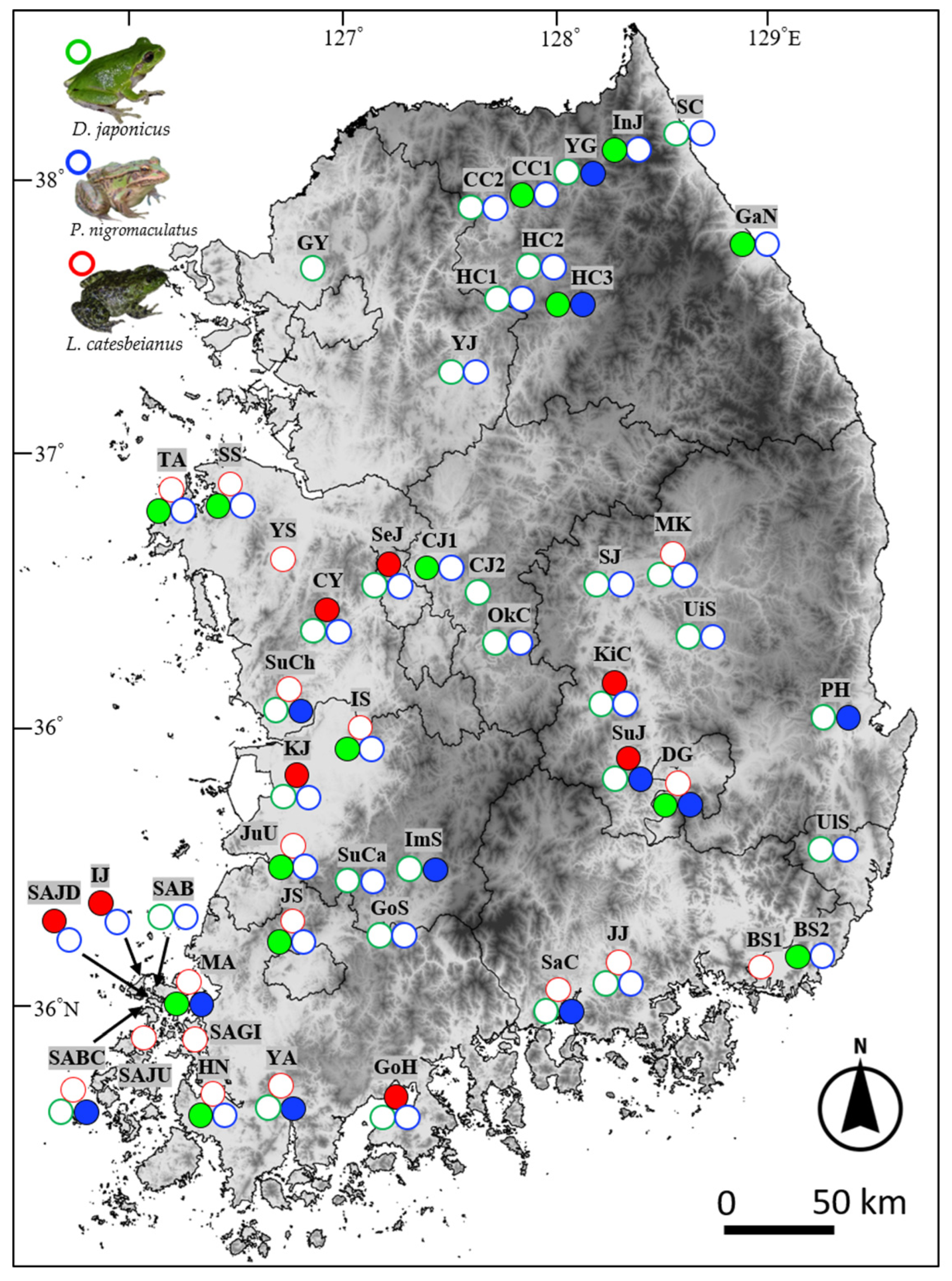 Prevalence of Ranavirus Infection in Three Anuran Species